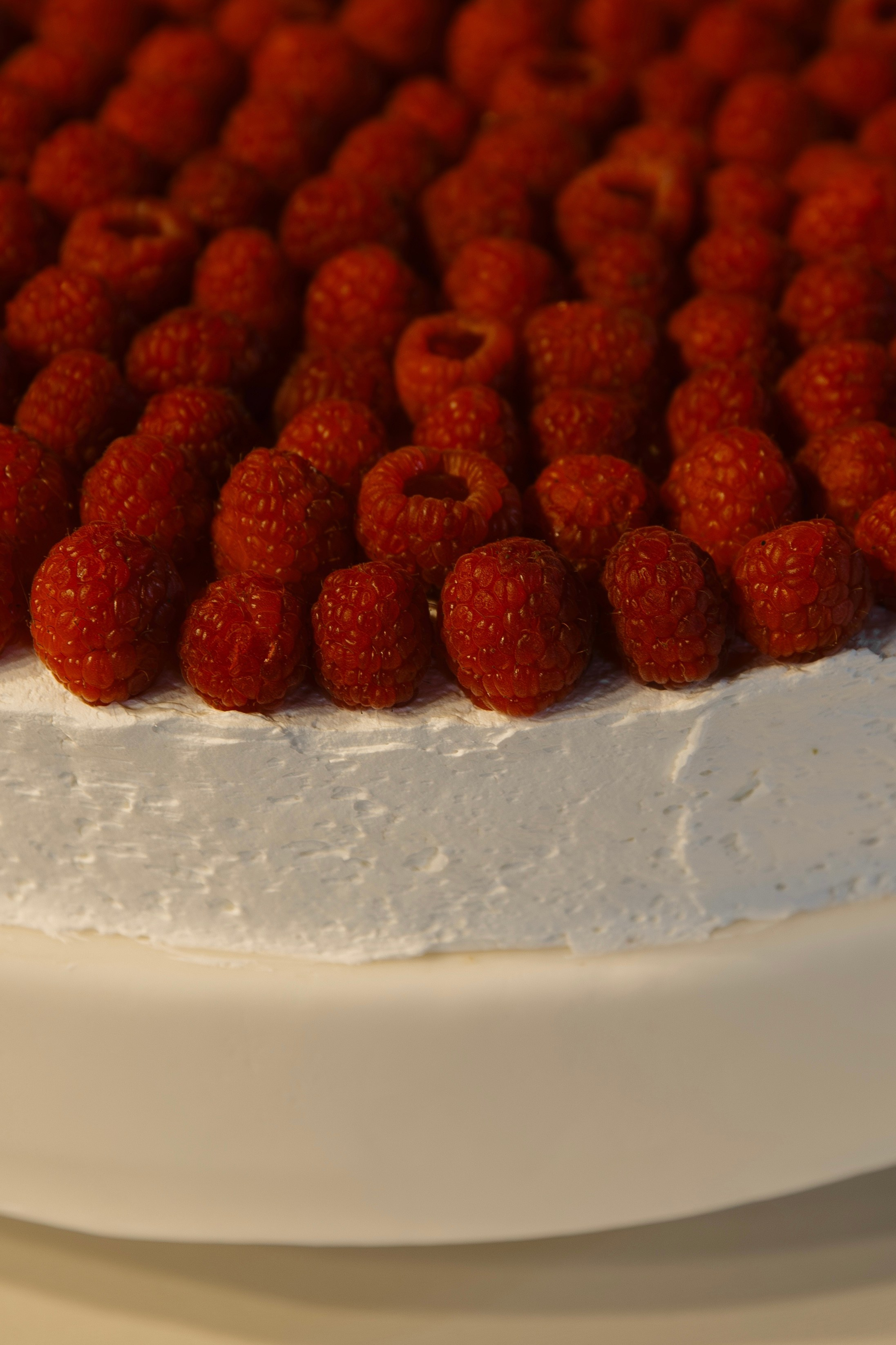 Алиса | Антон