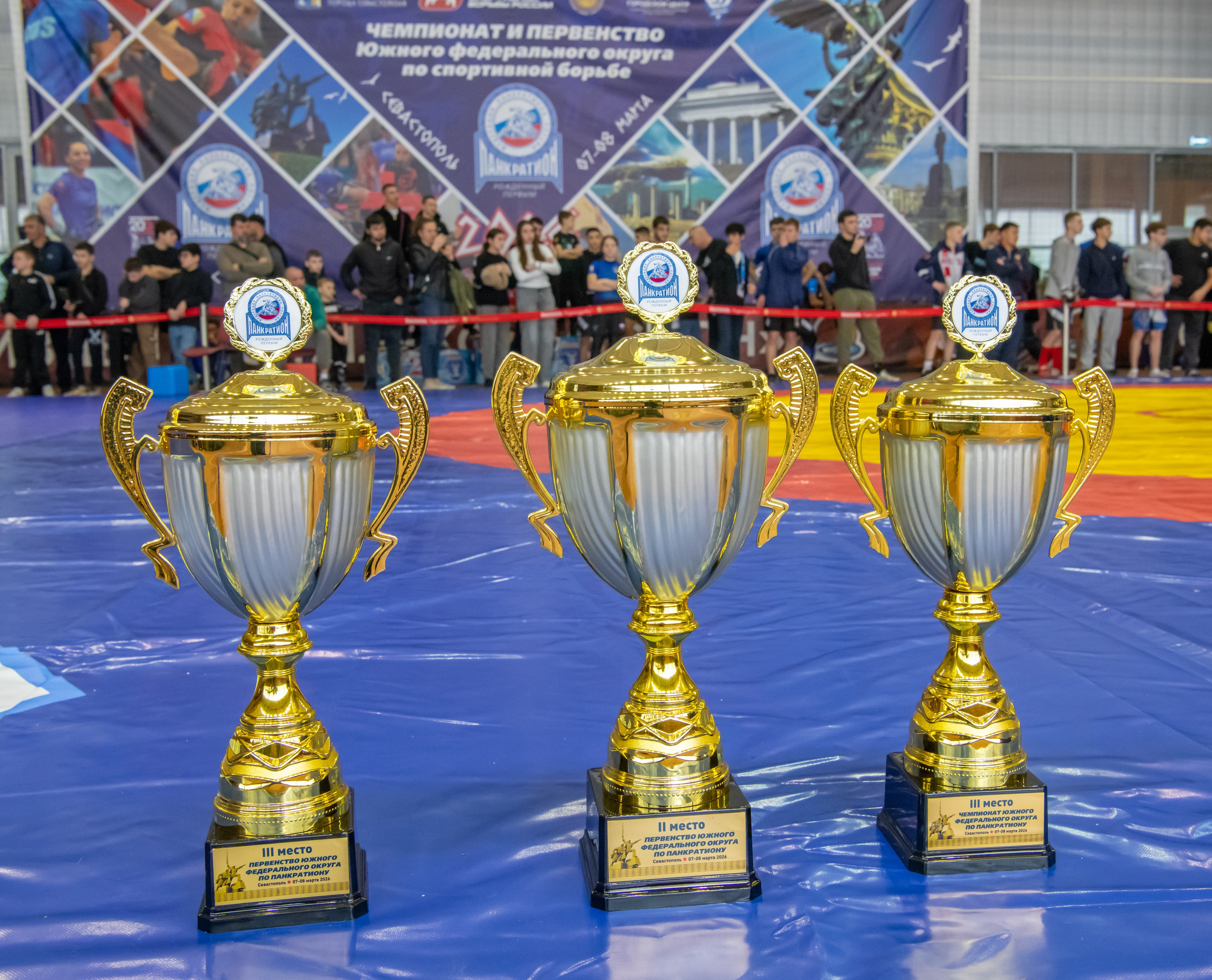 Панкратион. Денис Садовый фотограф Севастополь