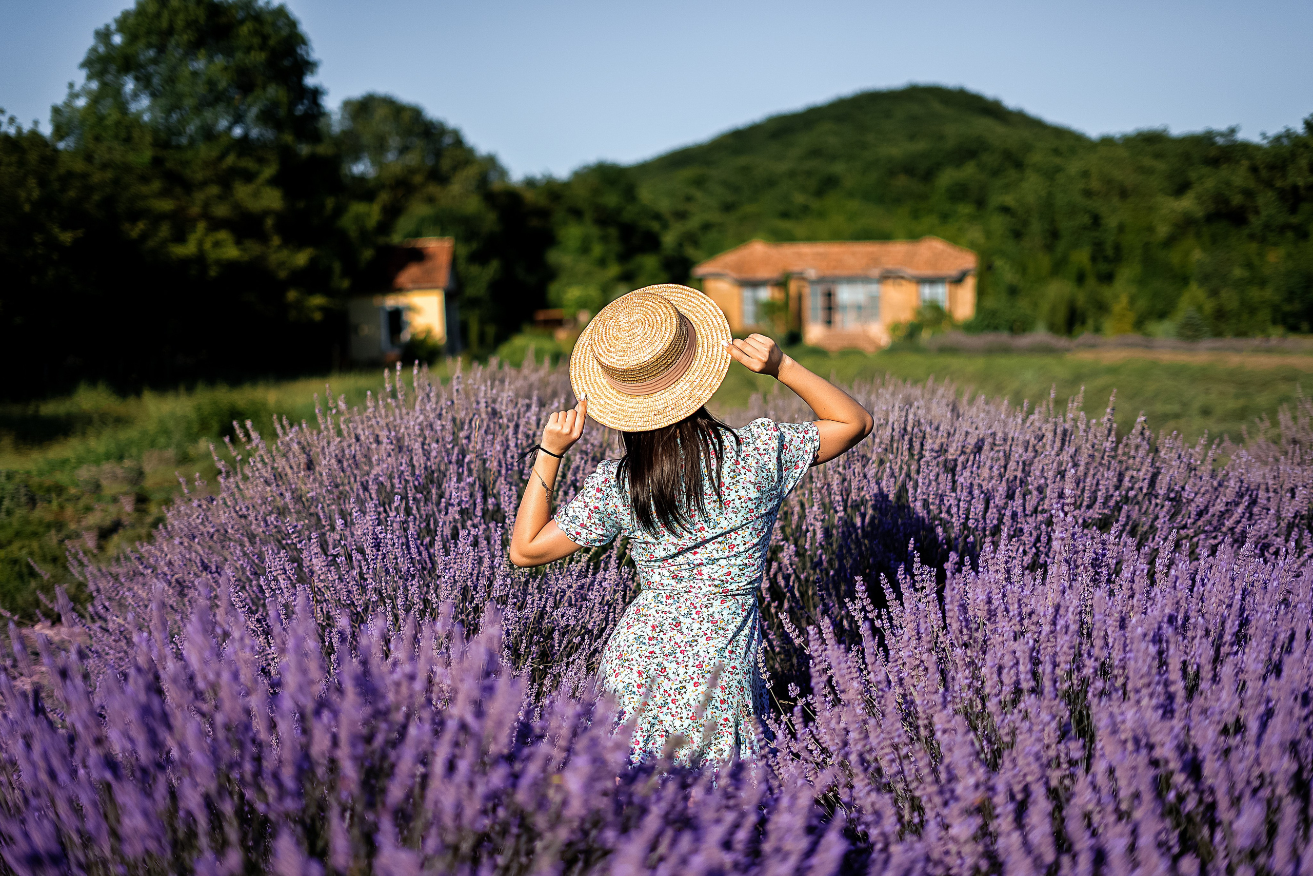 Лаванда/Анапа. Свадебный и семейный фотограф/видеограф в Краснодаре Наталья Осинская