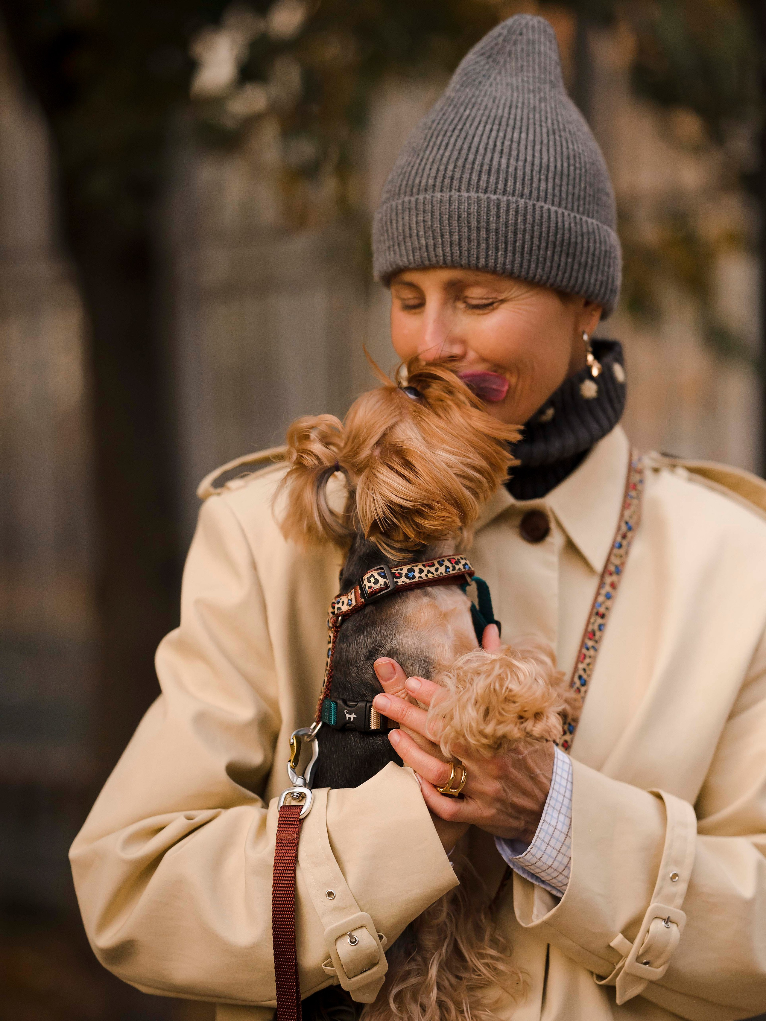 Шарик дог. Фотограф- анималист Александра Матвеева