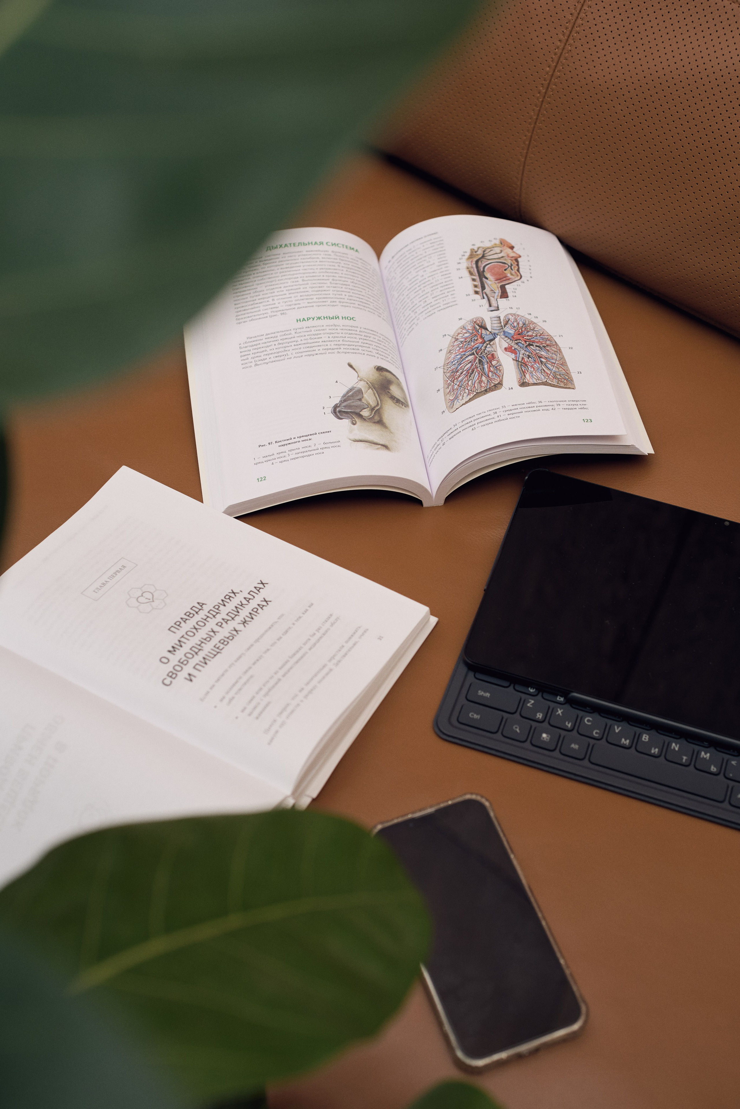 Контент — съёмка для нутрициолога. Фотограф в Нижнем Новгороде Юлия Рачинская