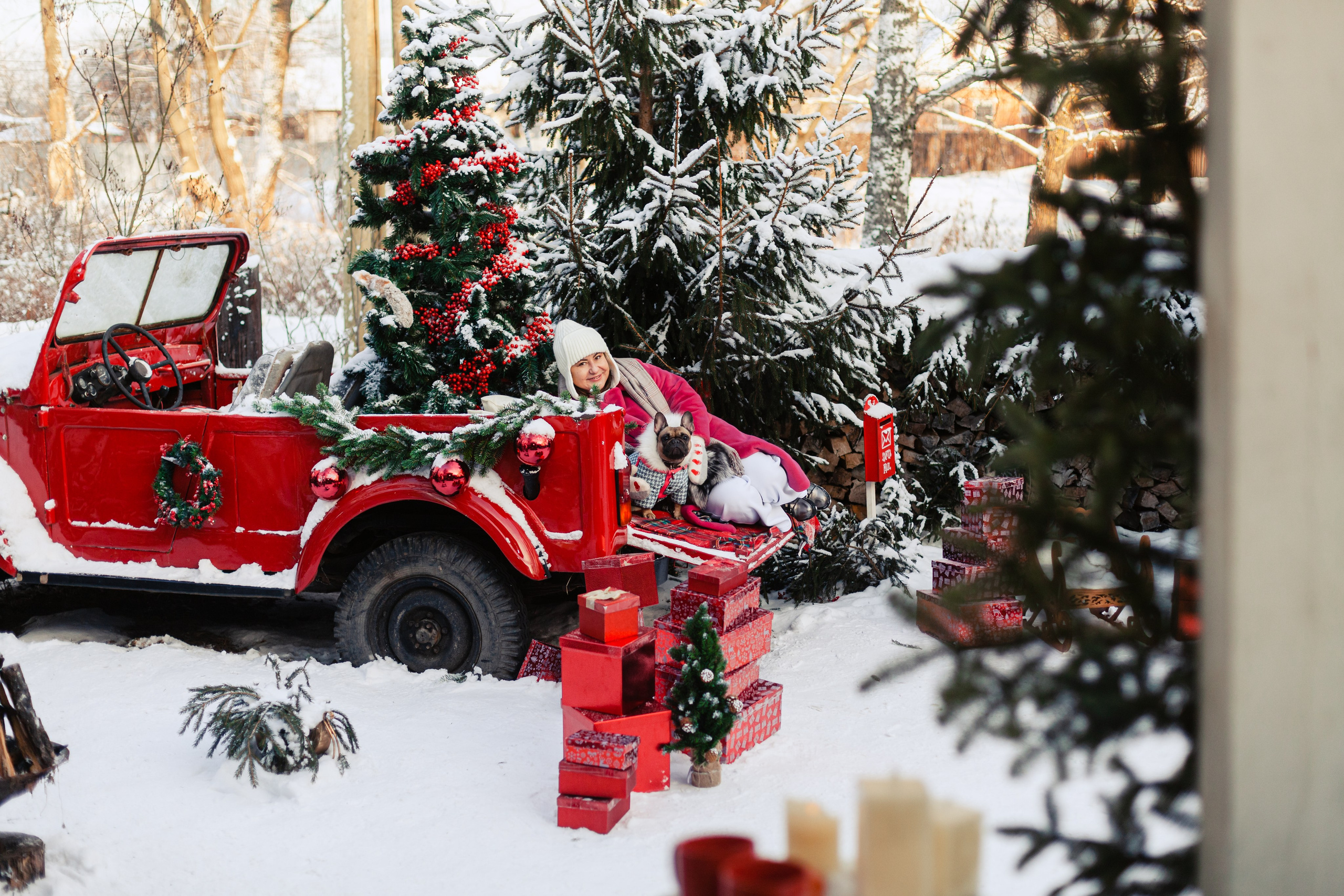 Зингер дача. Фотограф-анималист Татьяна Степанова