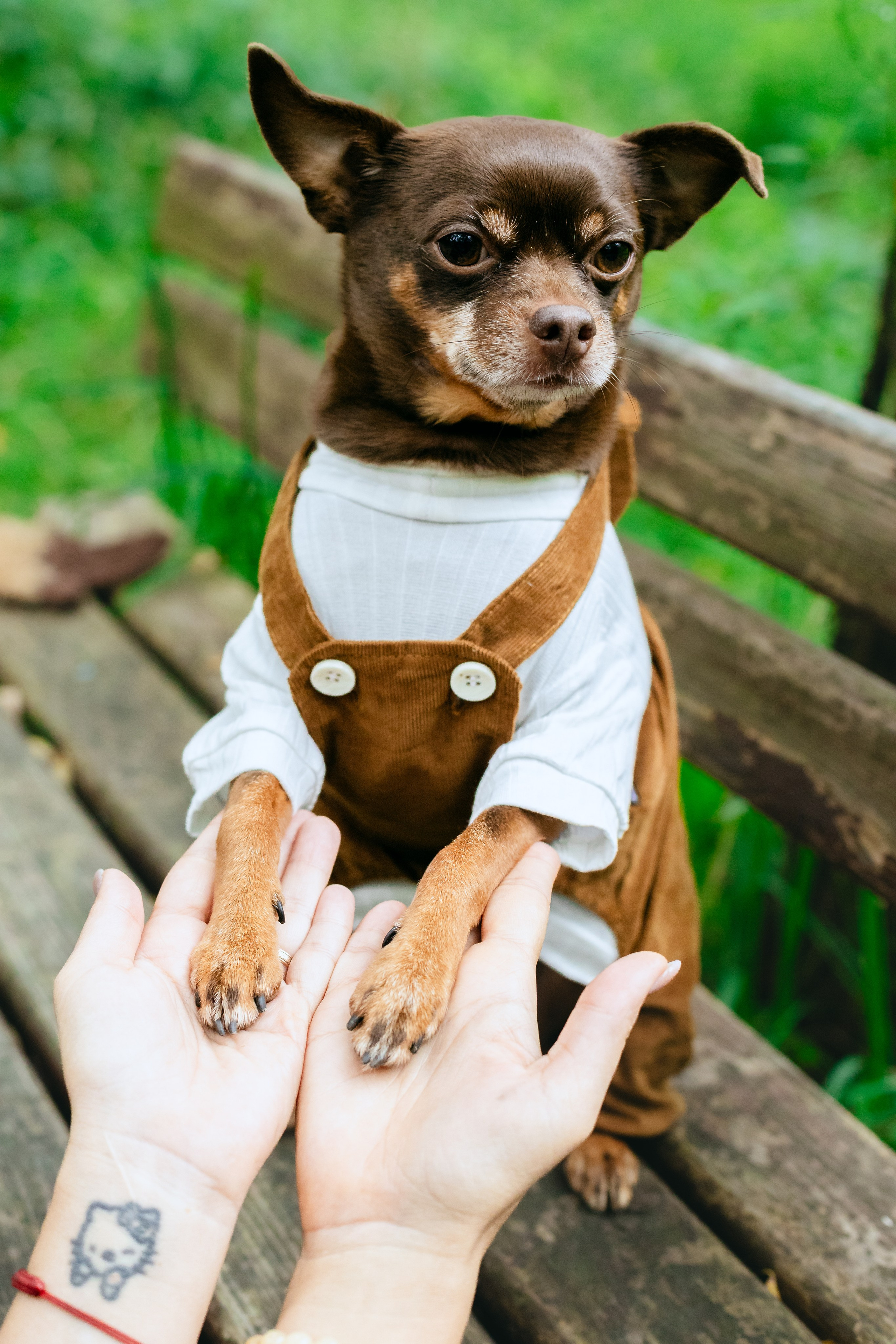 Юля и Леонид. Фотограф-анималист Татьяна Степанова