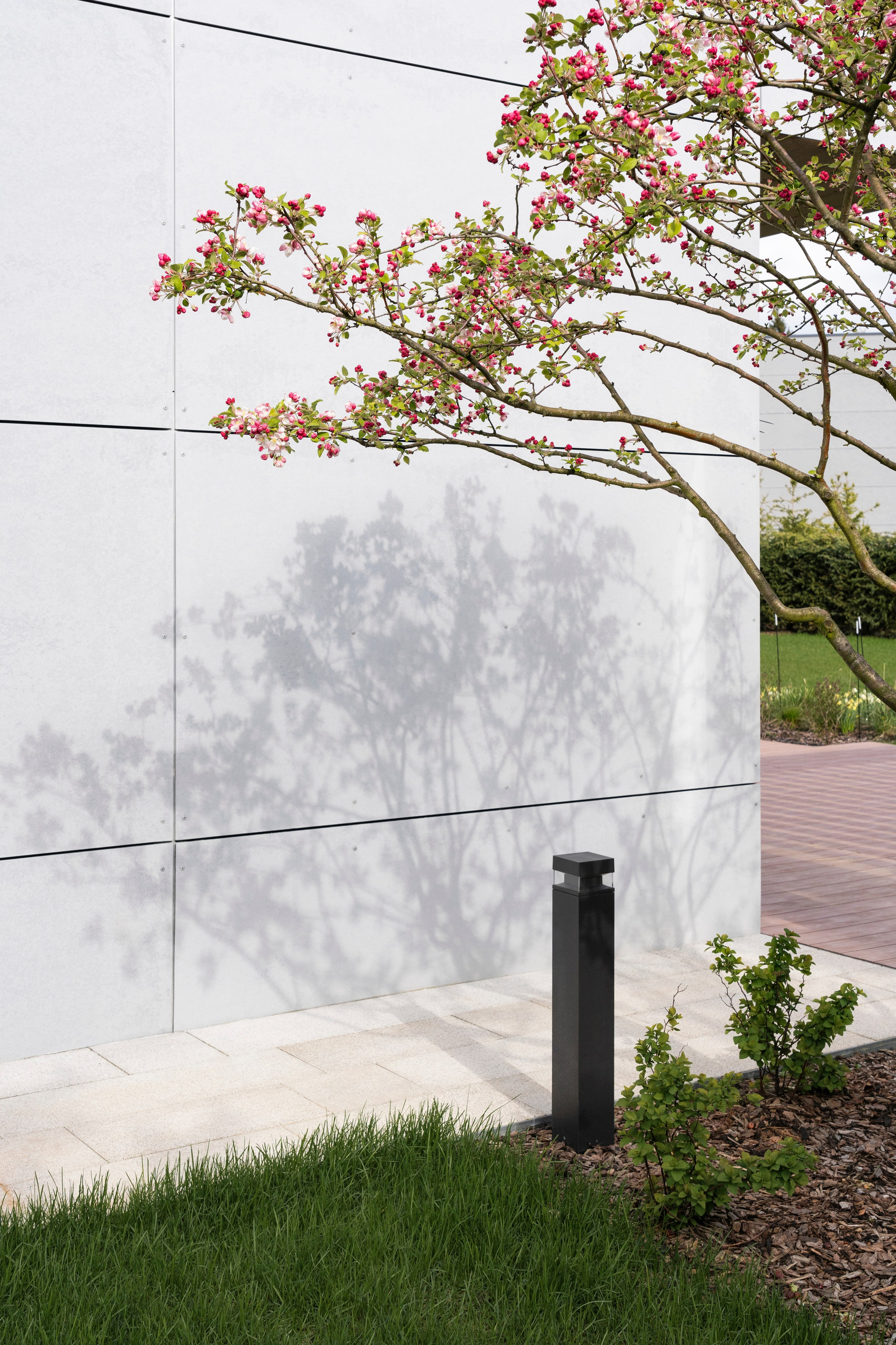 Blooming in the garden, Moscow region. Артамонов Александр | Архитектурный и ландшафтный фотограф