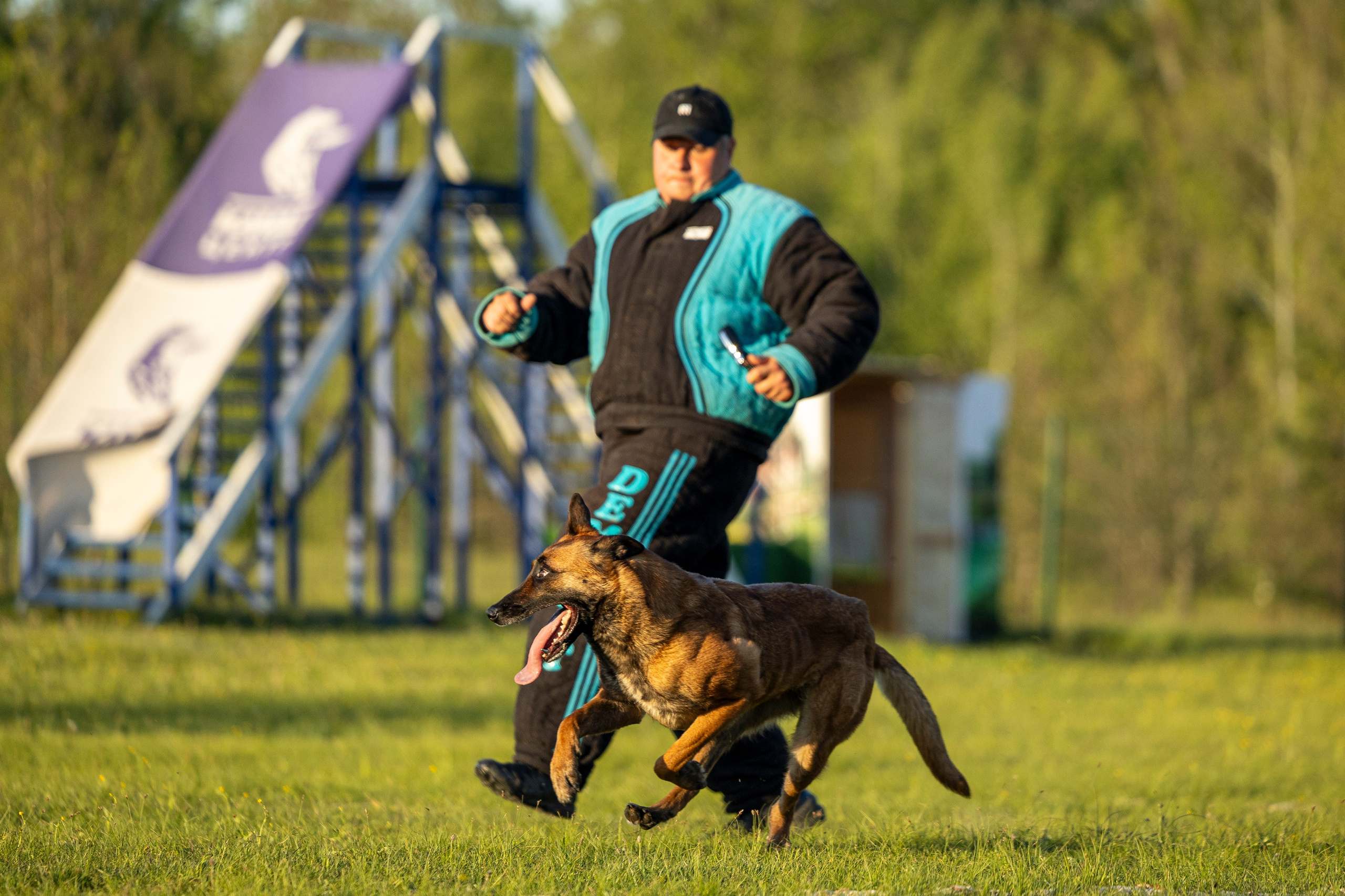 Испытания по мондьорингу в Нижнем Новгороде. Фотограф-анималист Анна Маринич