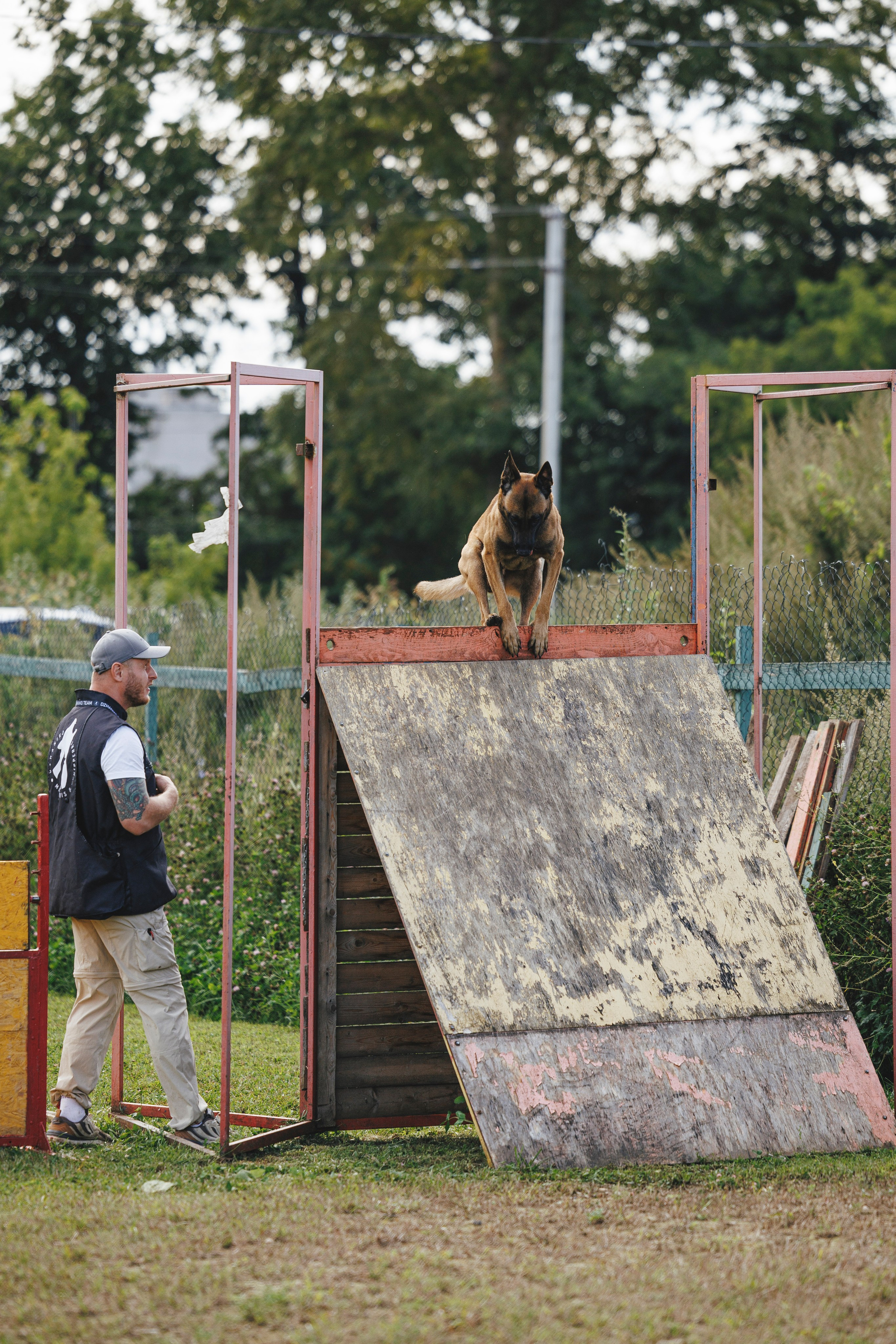 08.08.25-10.08.25 ЧР по мондьорингу г. Вологда. Фотограф-анималист Анна Маринич