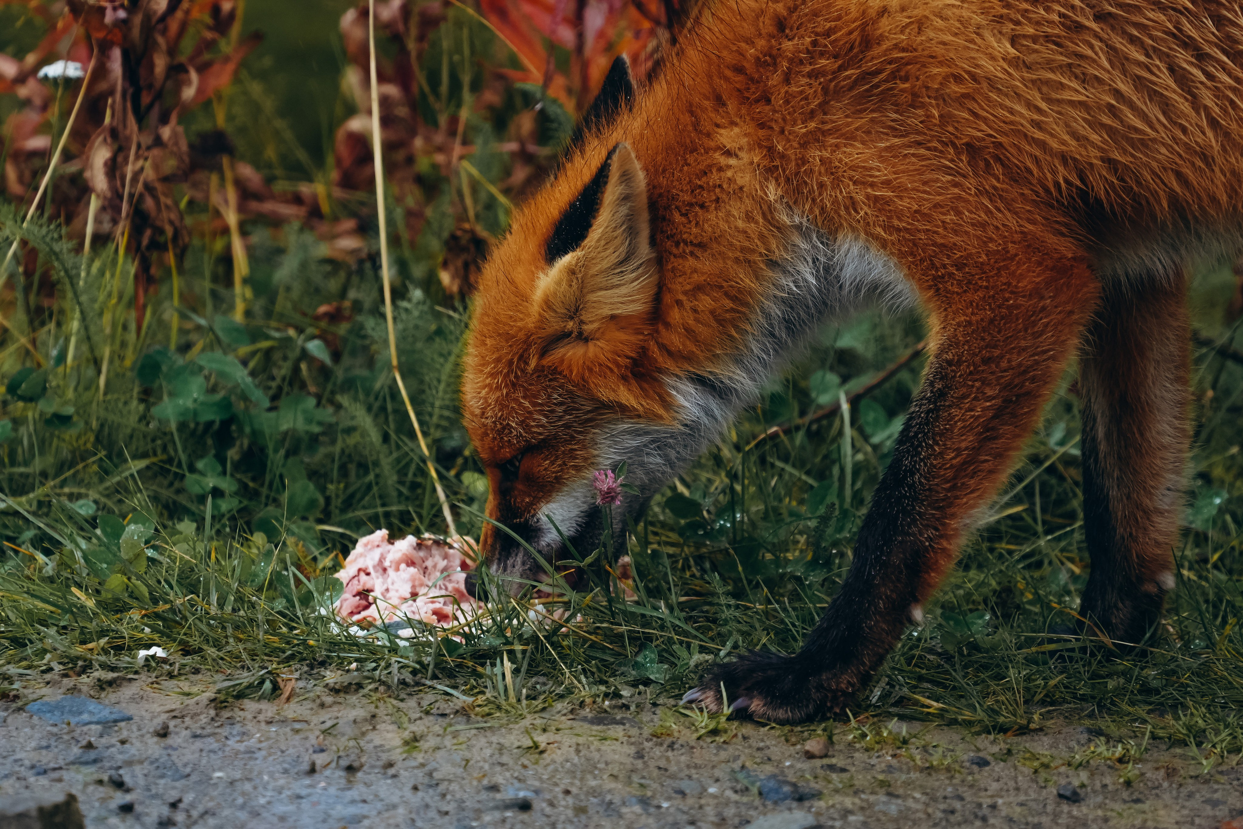 СЕВЕР. Event фотограф Степанова Александра