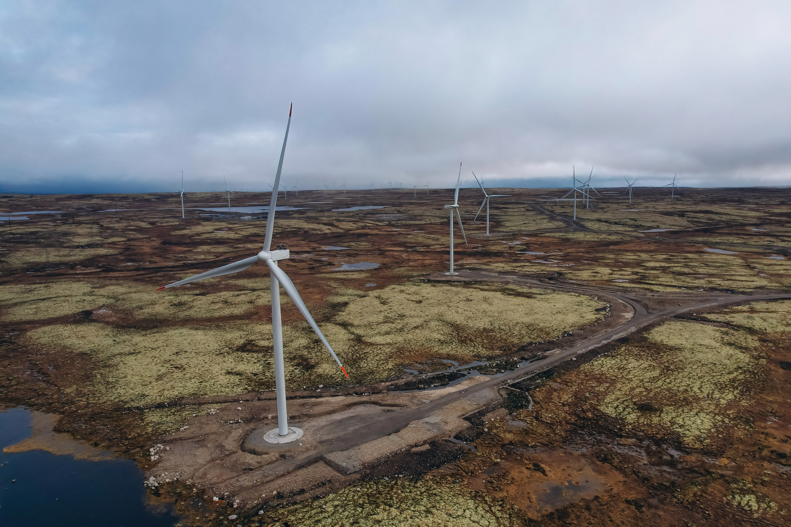 СЕВЕР. Event фотограф Степанова Александра