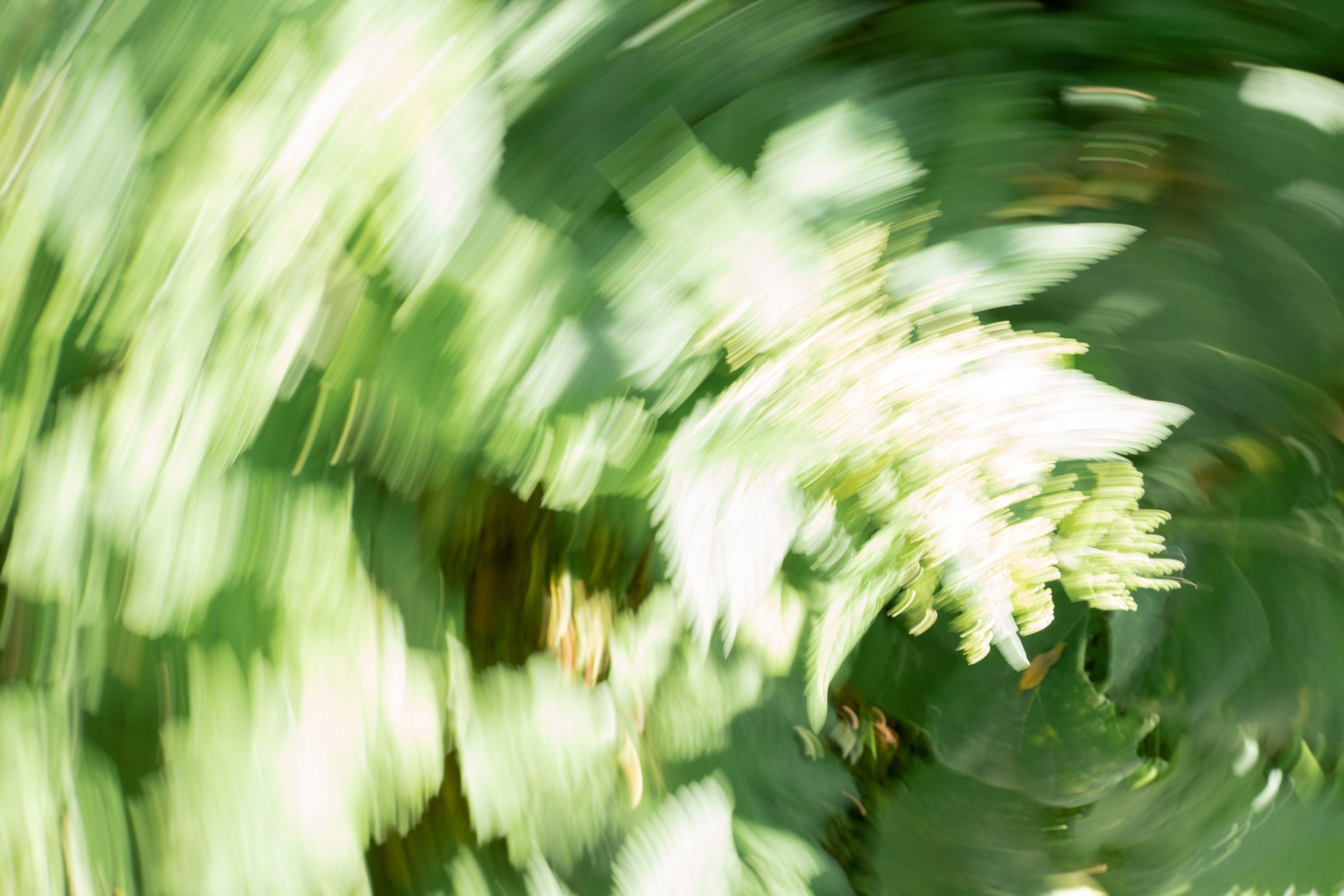 Аэлита. Фотограф Алла Быкова