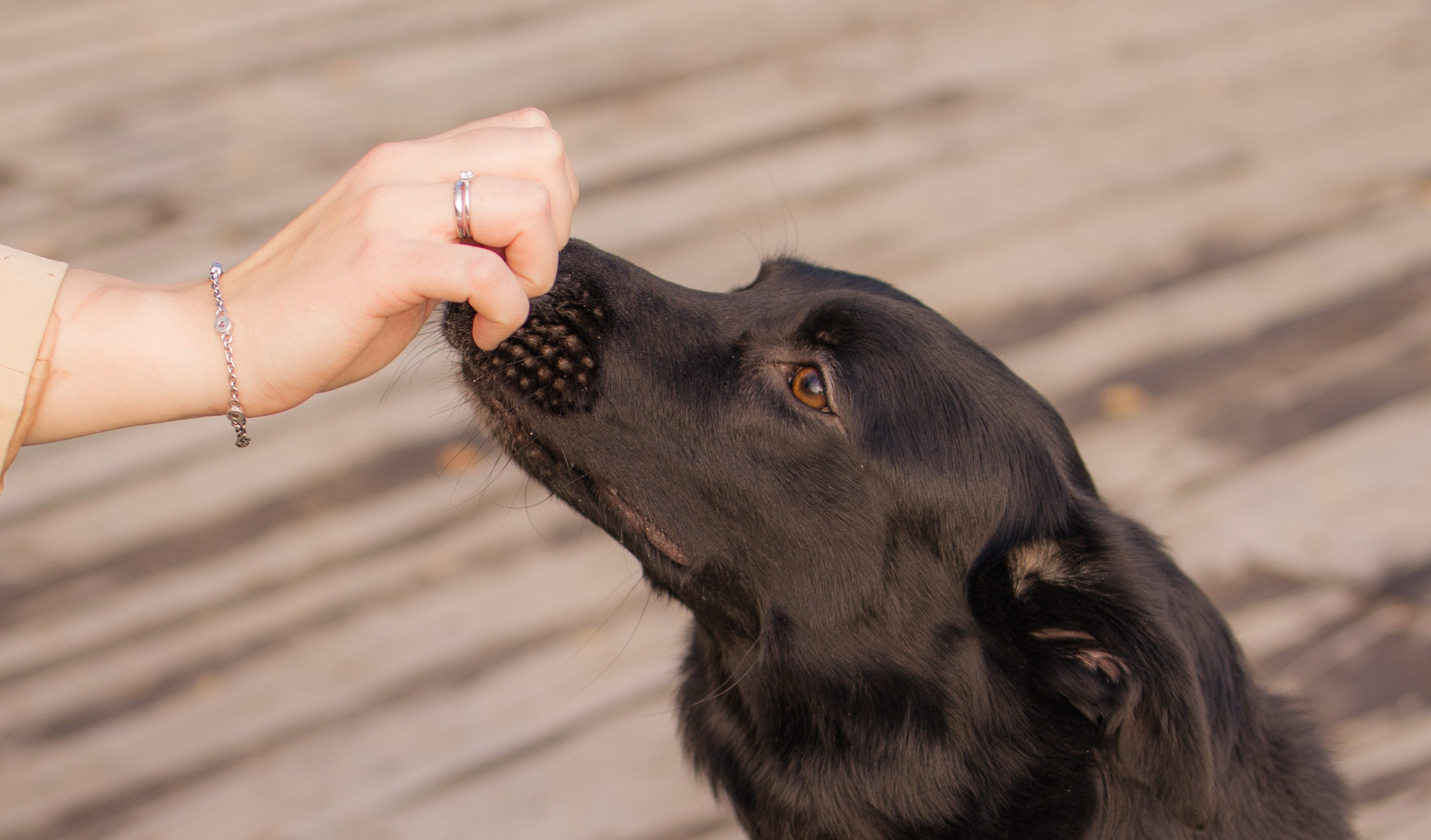 Даша и Дэни. Художественная фотография