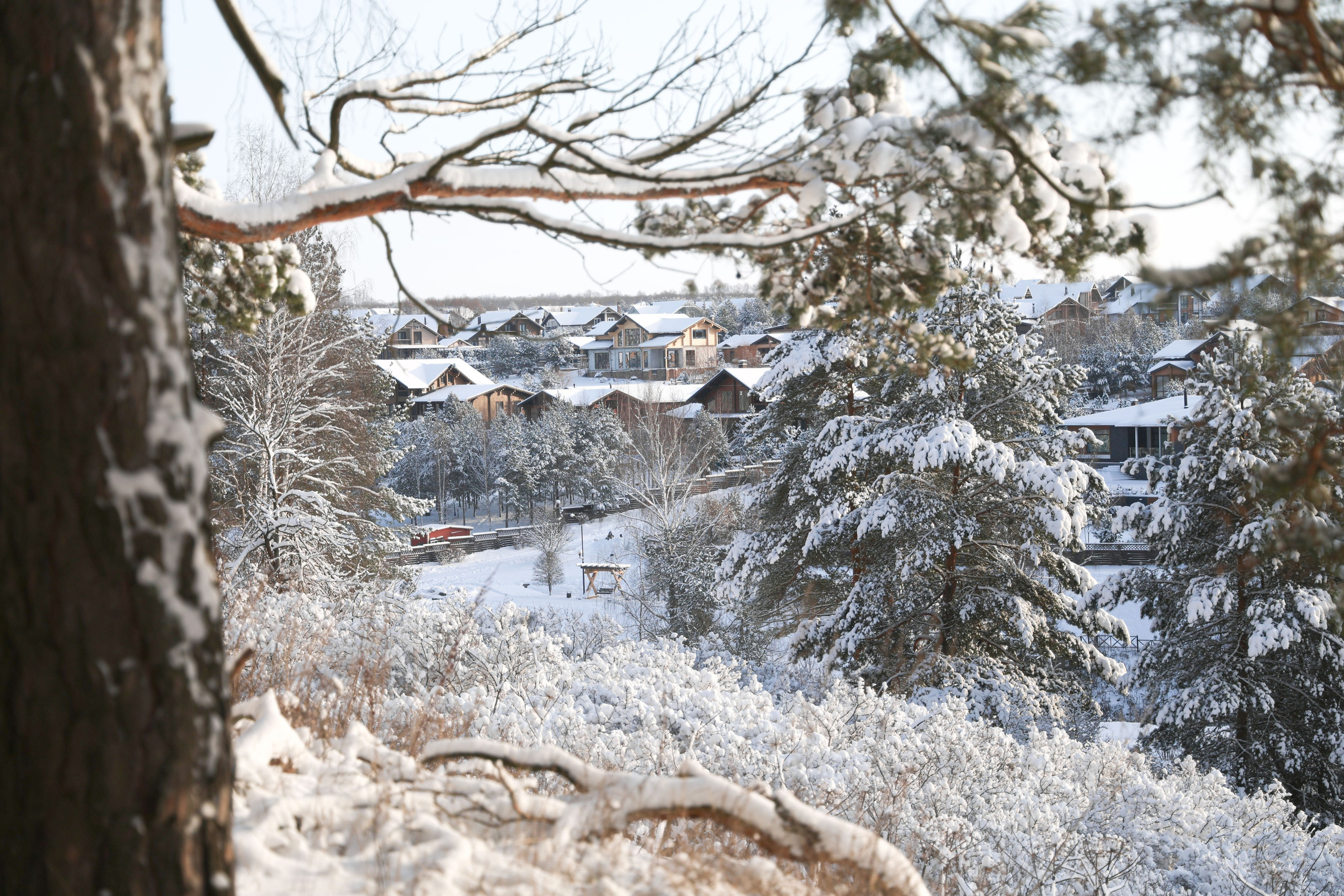 Рождествено Зима 2026. Фотограф Максим Татаринов