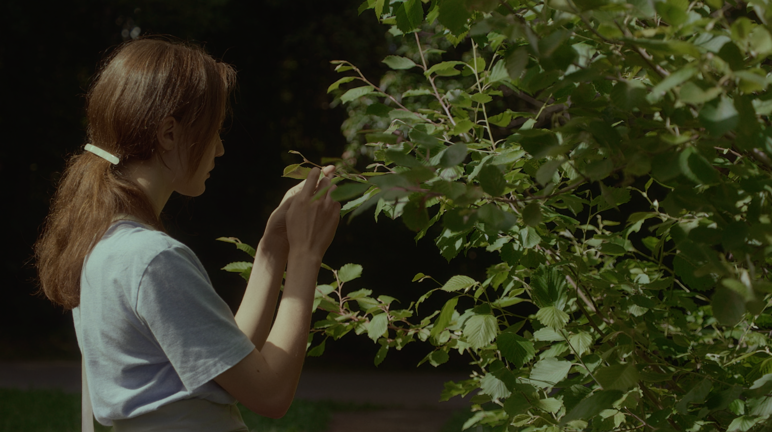 The limits of the world. Tokcolor