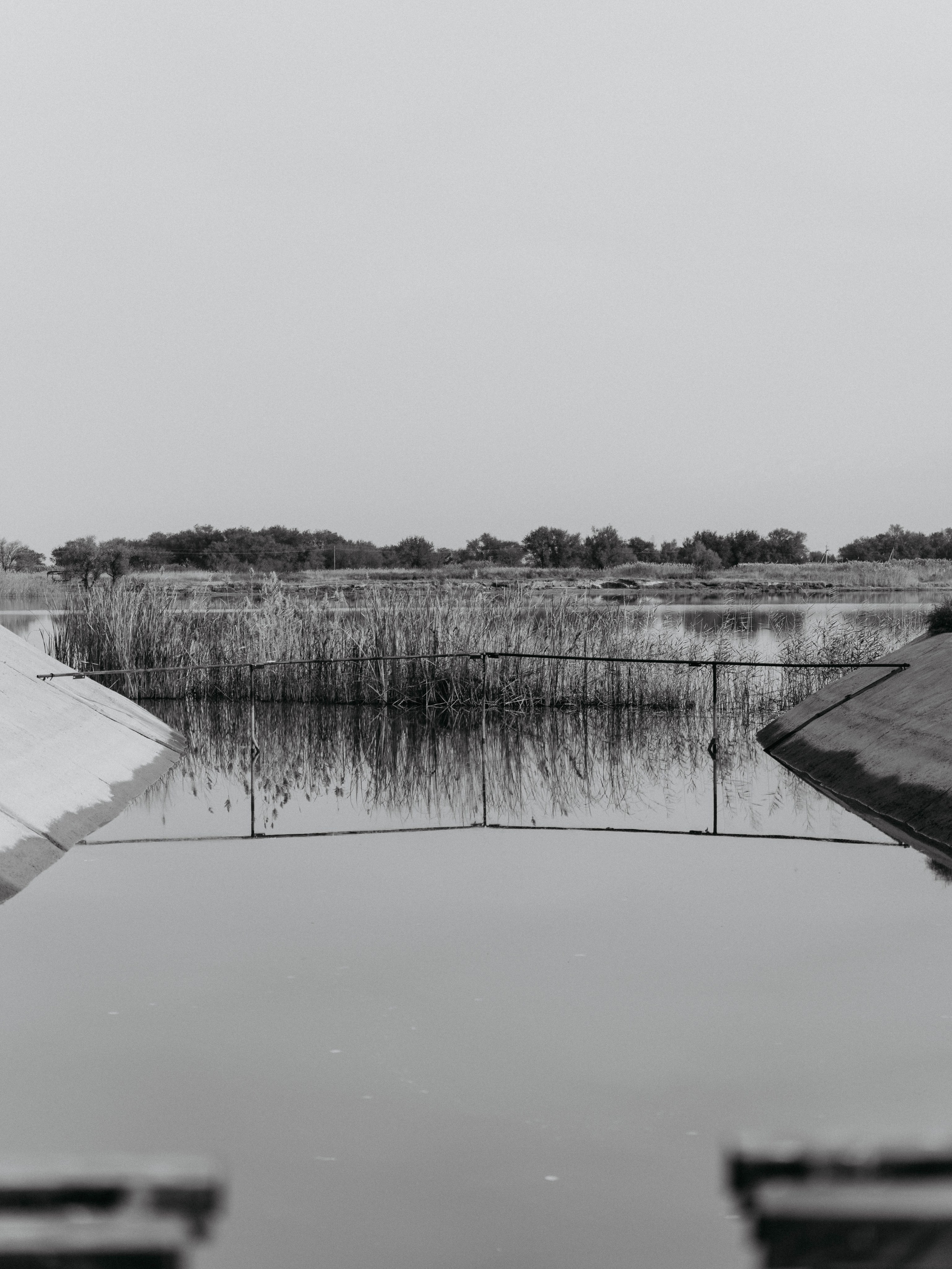 Визуальный дневник. Репортажный фотограф в Алматы Цой Сергей
