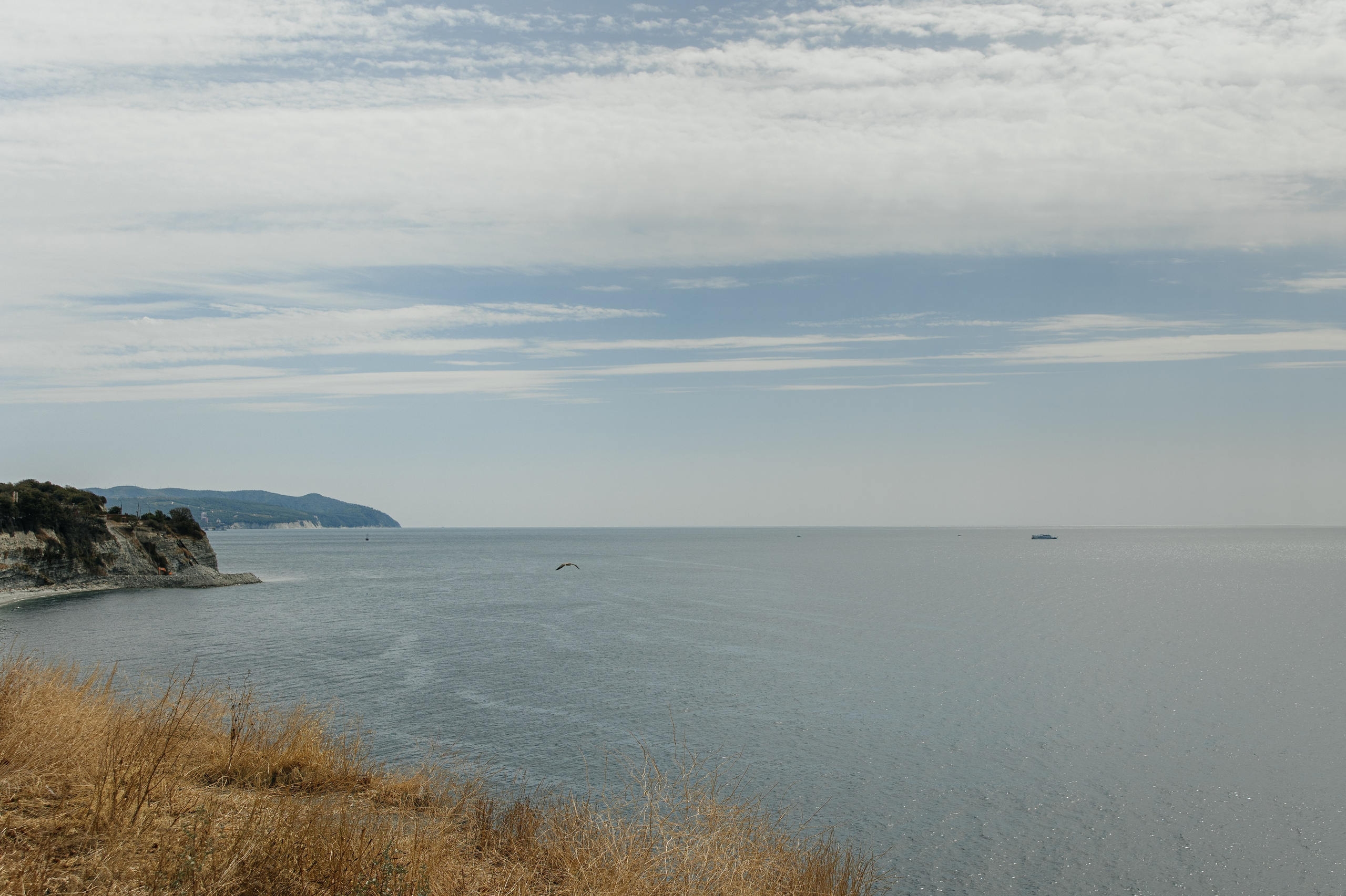 Дмитрий и Алиса. Свадебный и портретный фотограф в Ростове на Дону Андо Саргсян