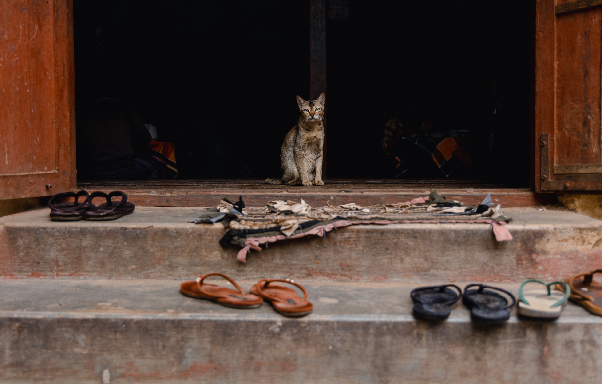 Путешествия. Оператор Мария Боровкова