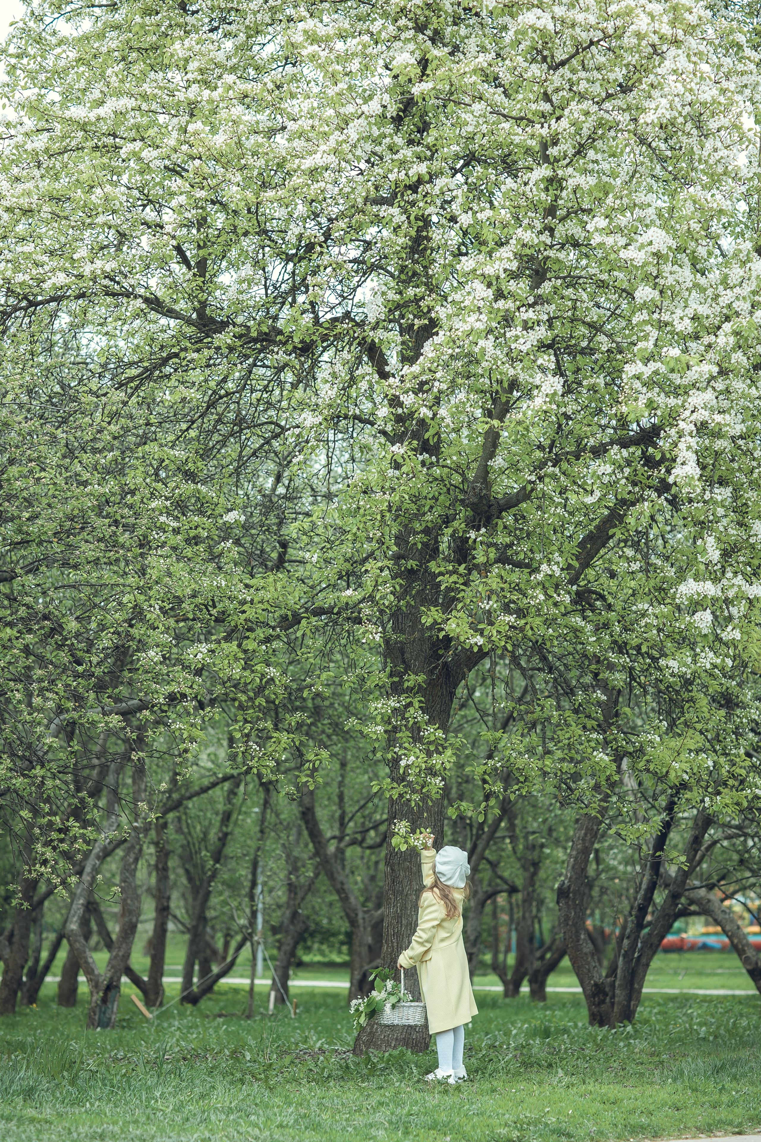 Детские съемки. Семейный фотограф в Москве и Московской области Булычева Екатерина