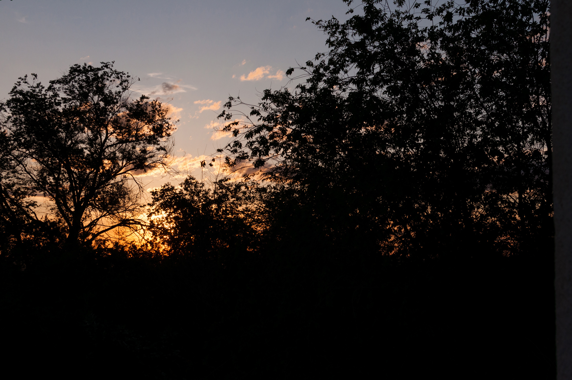 Love day ♥. Свадебный фотограф Волгоград Роман Брызгалин и Натали Никитина
