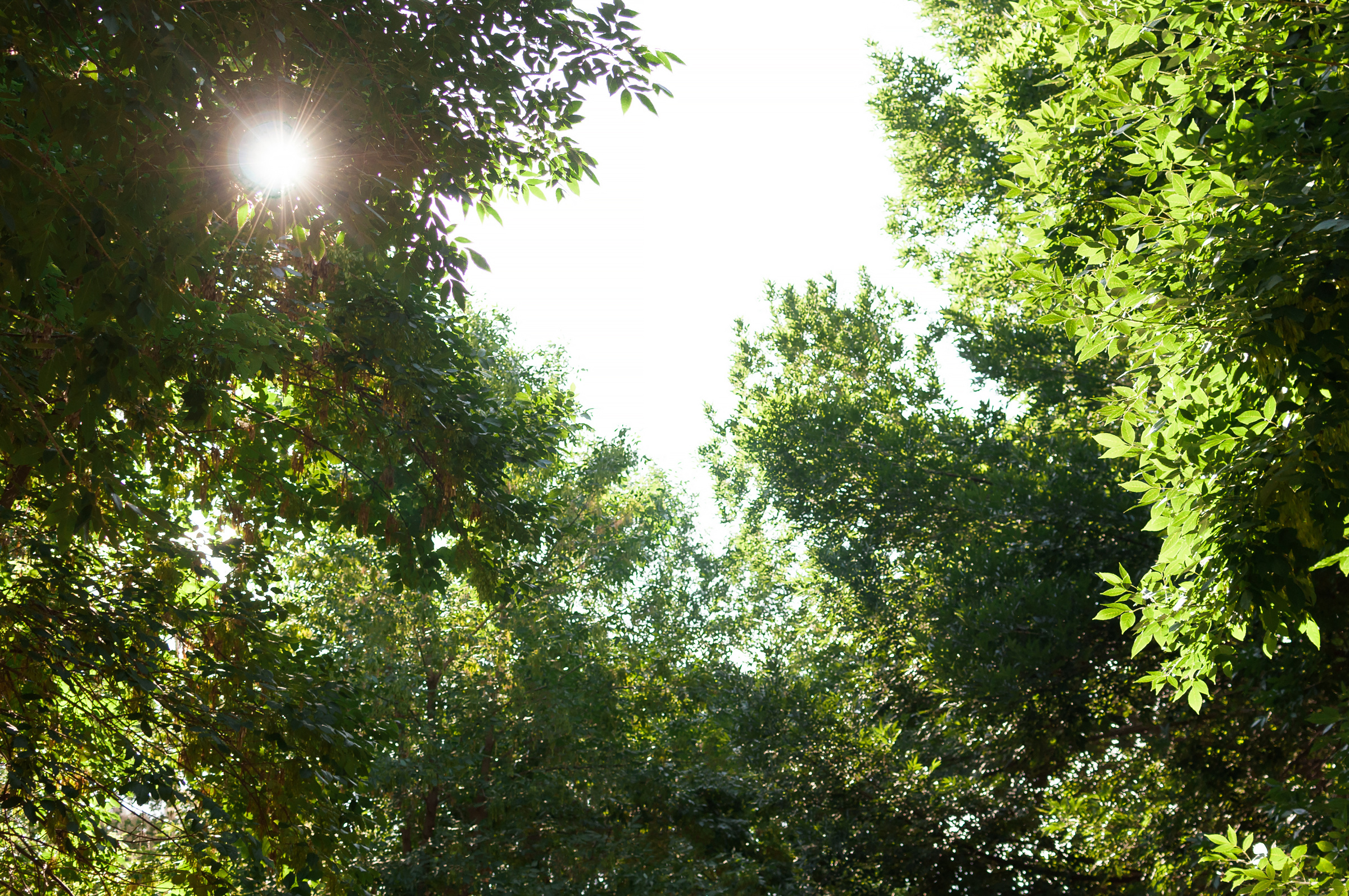Love day ♥. Свадебный фотограф Волгоград Роман Брызгалин и Натали Никитина