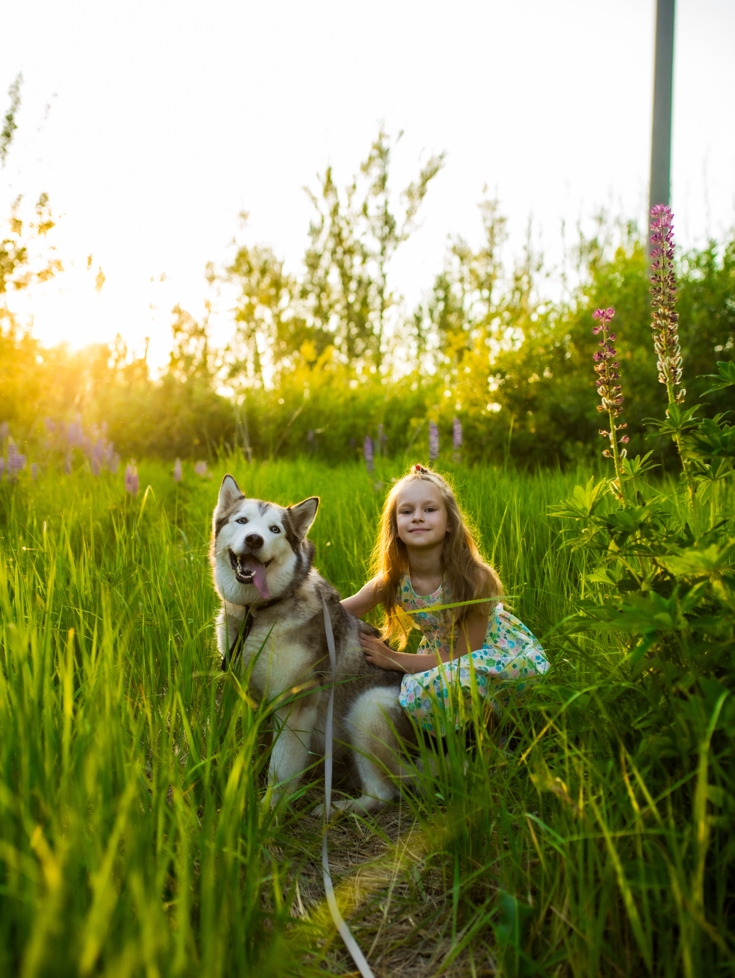 Летние прогулочные фотосесиии. Свадебный и семейный фотограф Виолетта в Липецке