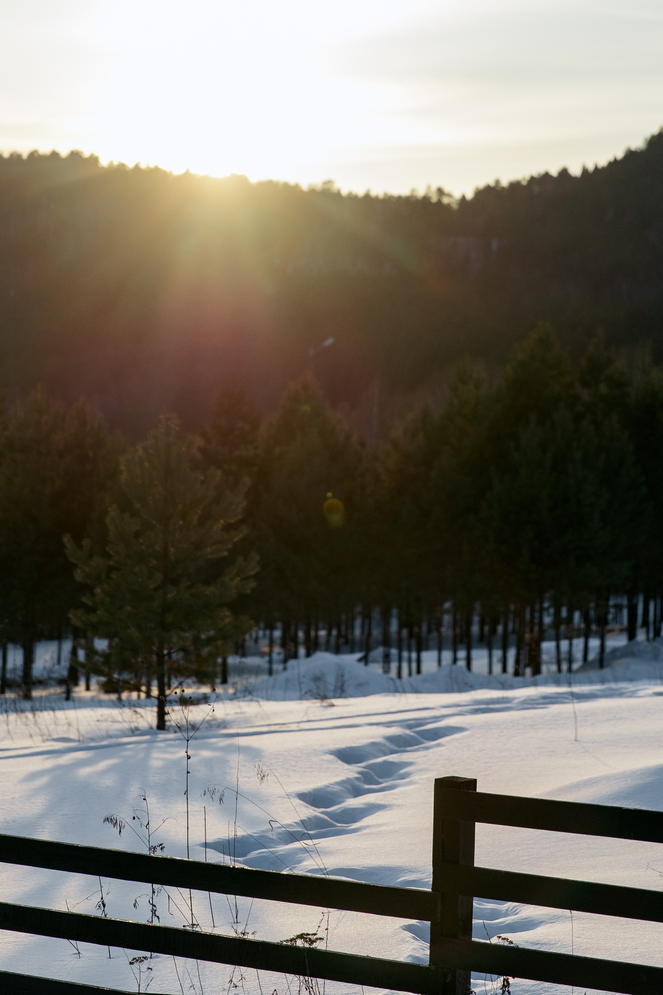 ДЕНЬ ДОЖДЕНИЯ ЕКАТЕРИНЫ. Фотограф в Красноярске
