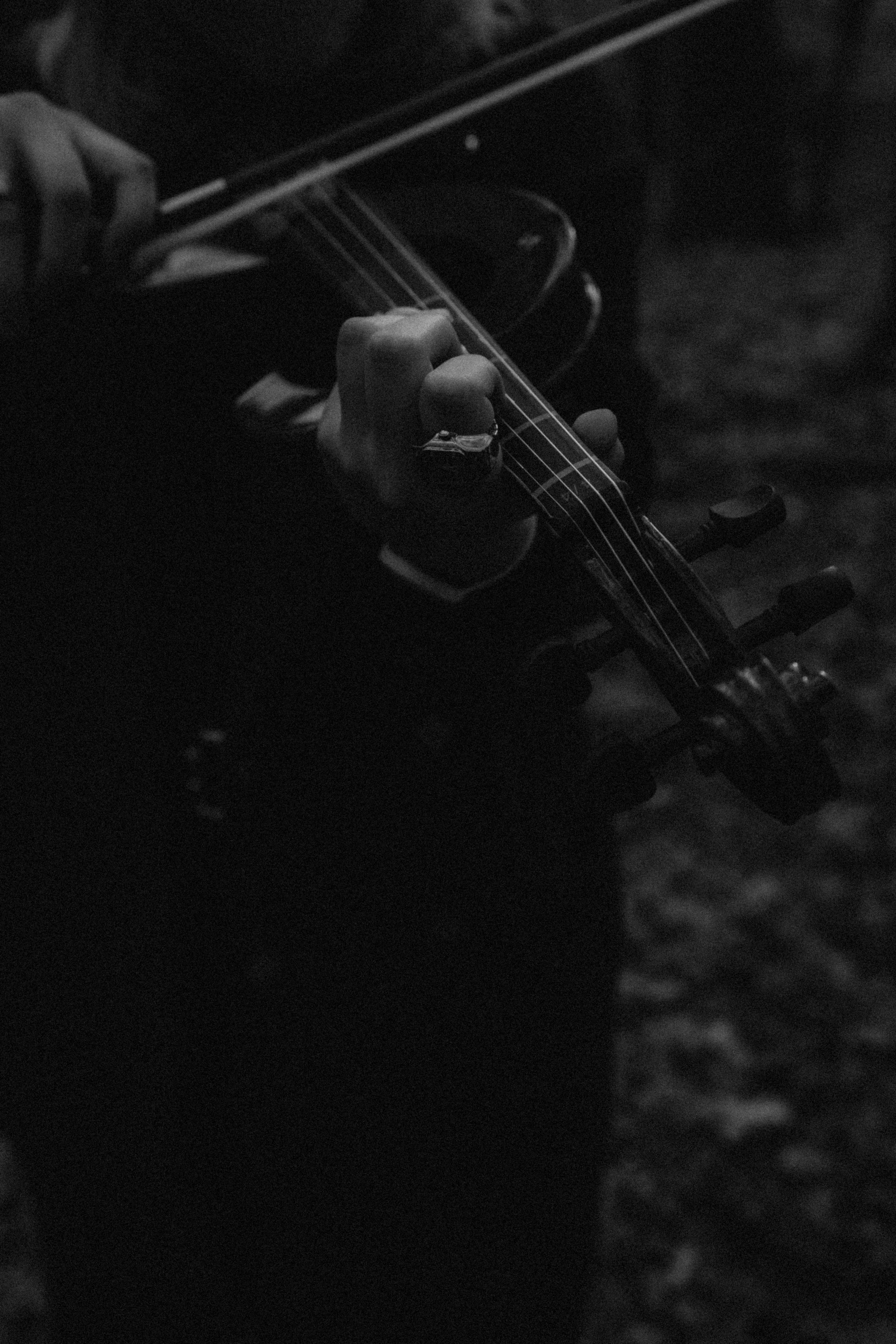 Les. Фото-художник