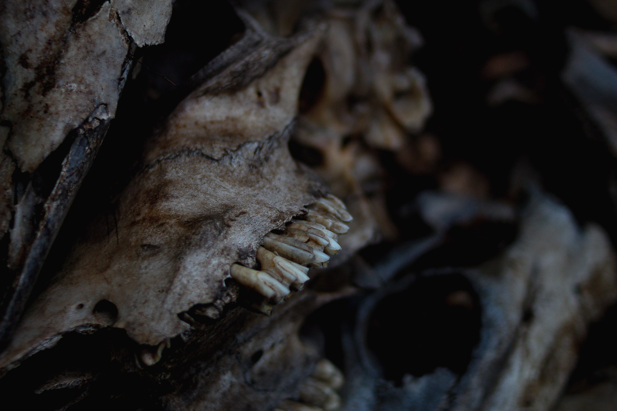 Творчество