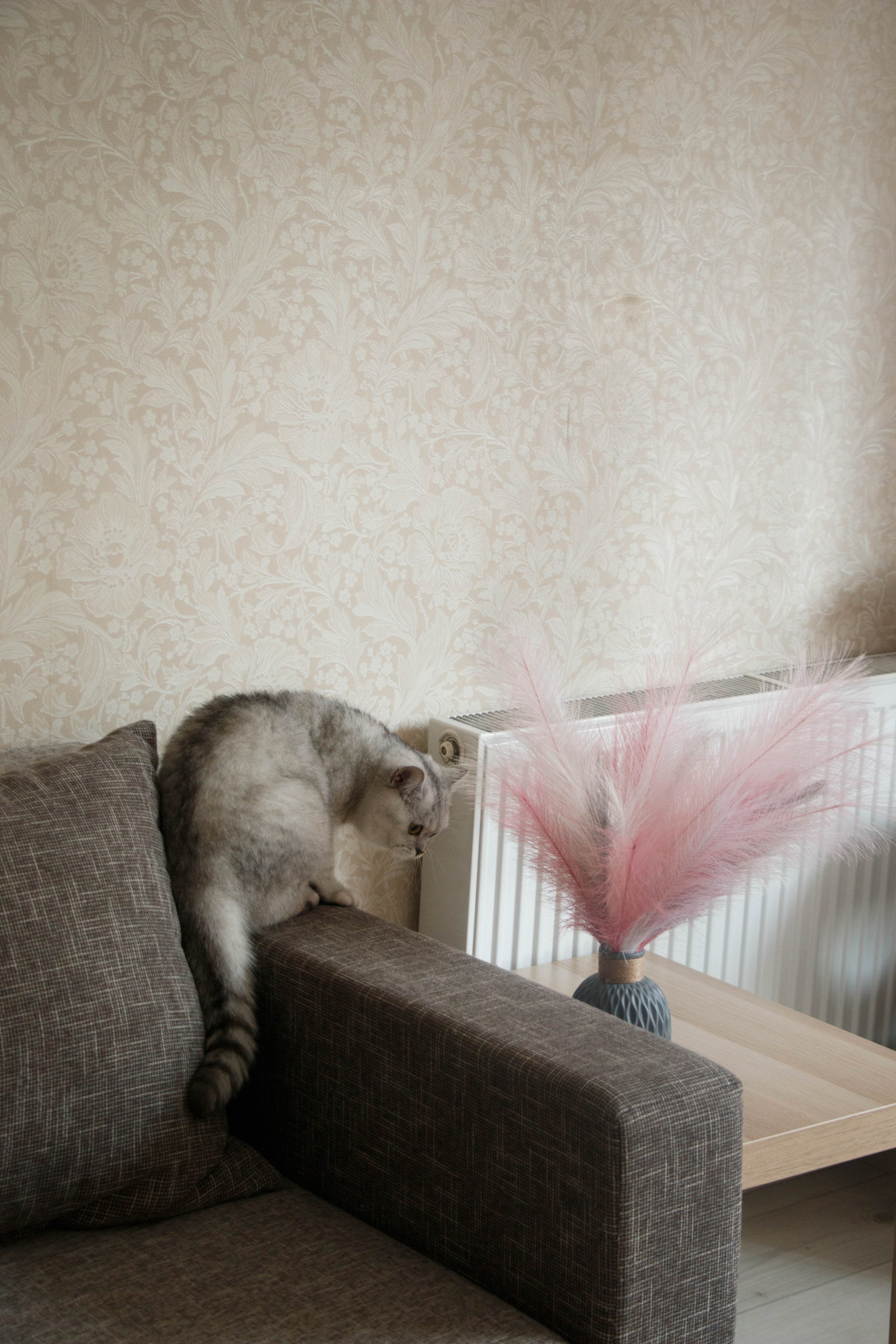 NASTYA & KITTI. Бережно сохраняю ваши чувства и истории на своих фотографиях