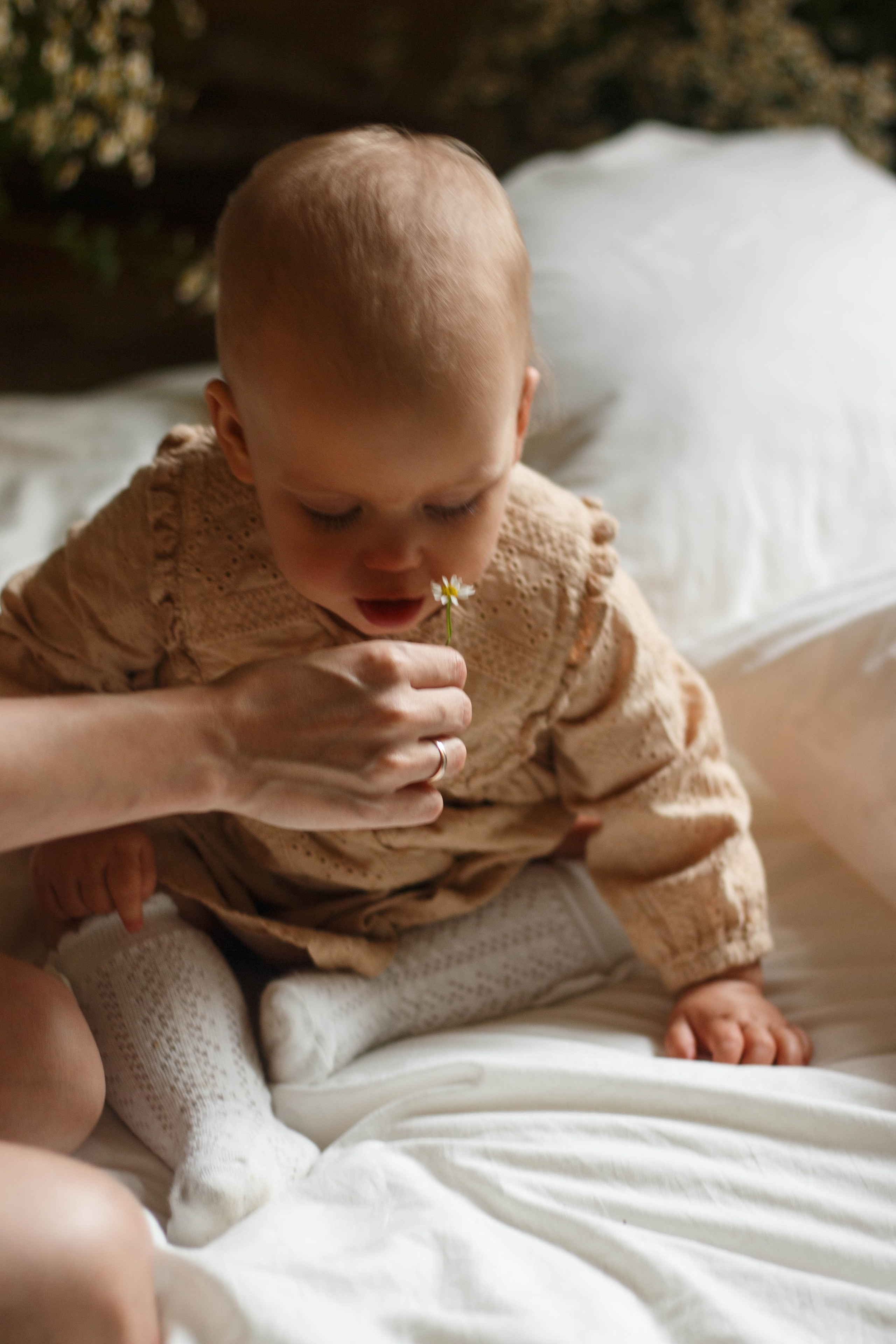 ALINA. Бережно сохраняю ваши чувства и истории на своих фотографиях