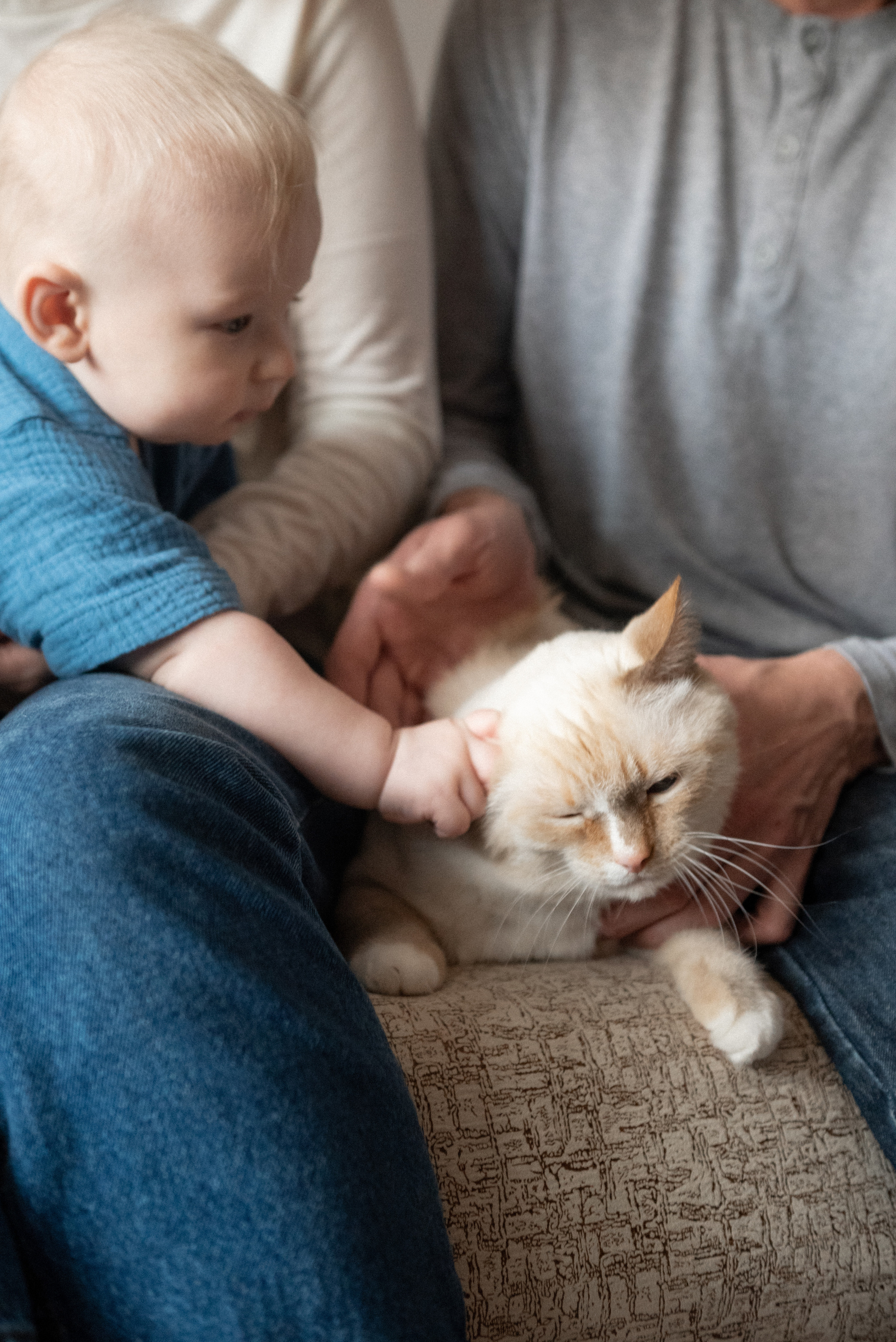 Лиза Саша и Гоша. Семейный фотограф Ирина Сгибнева