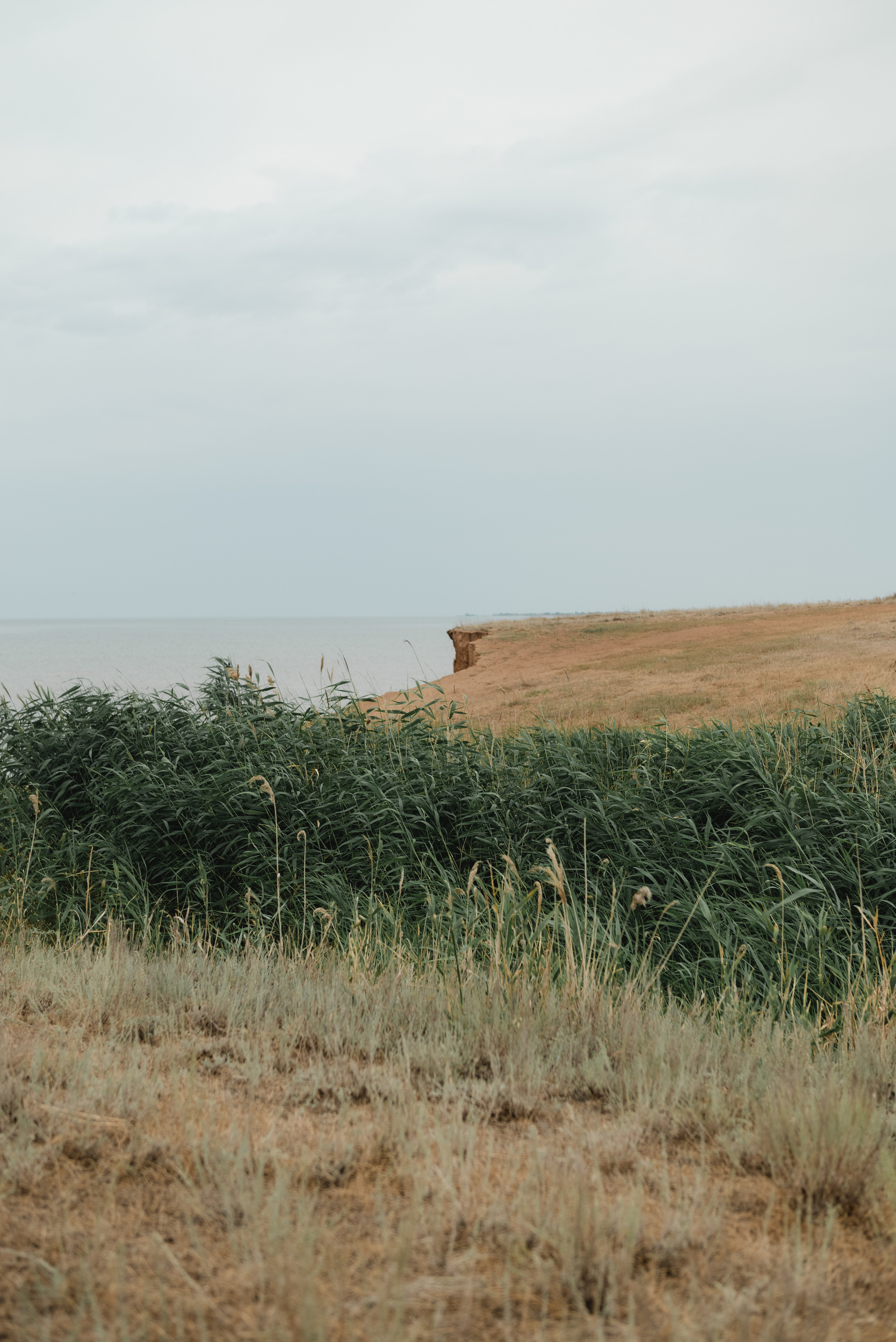 Лиза Саша и Гоша. Семейный фотограф Ирина Сгибнева