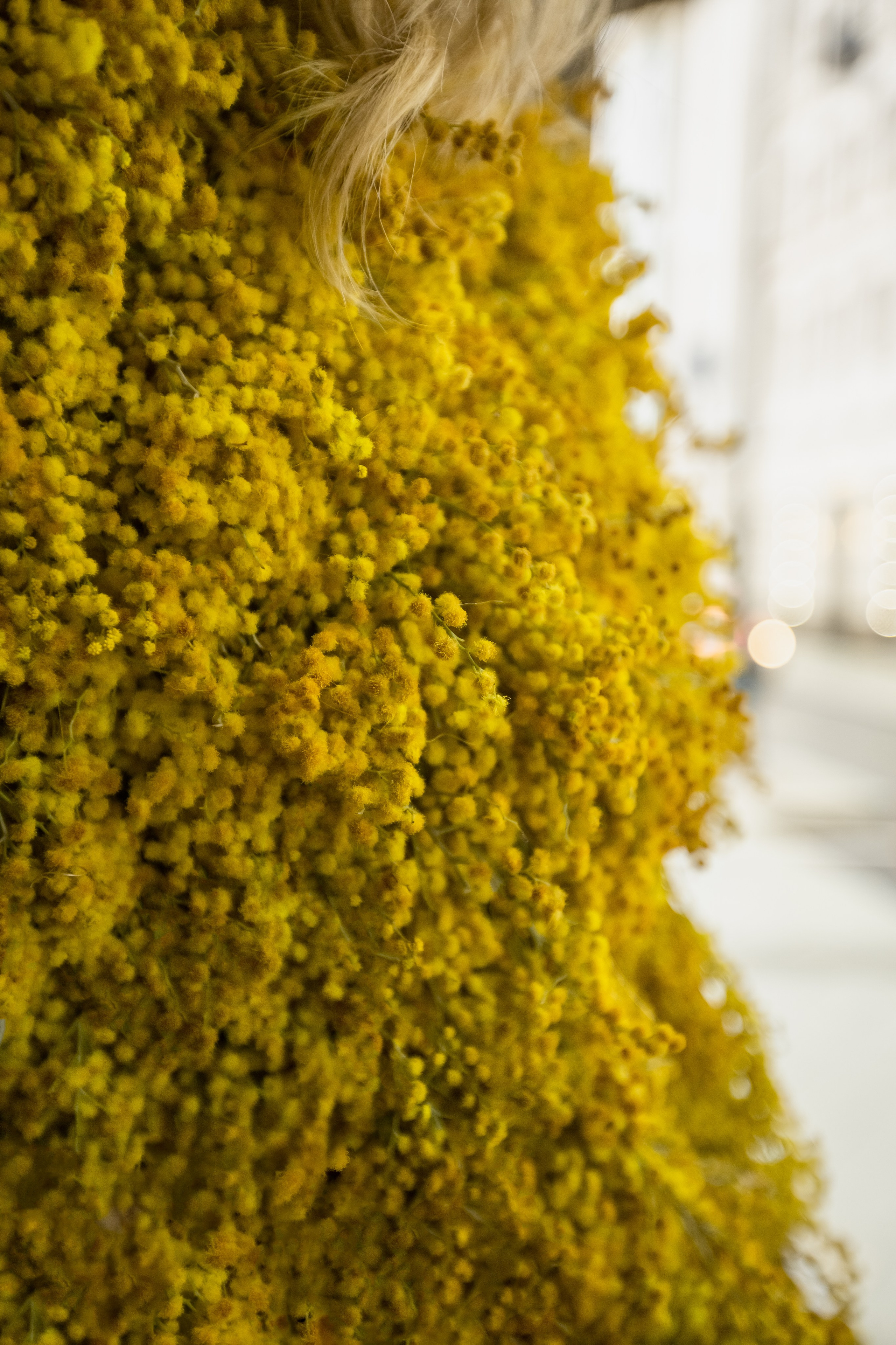 Mimosa outfit. Профессиональный фотограф Инесса Новикова в Москве