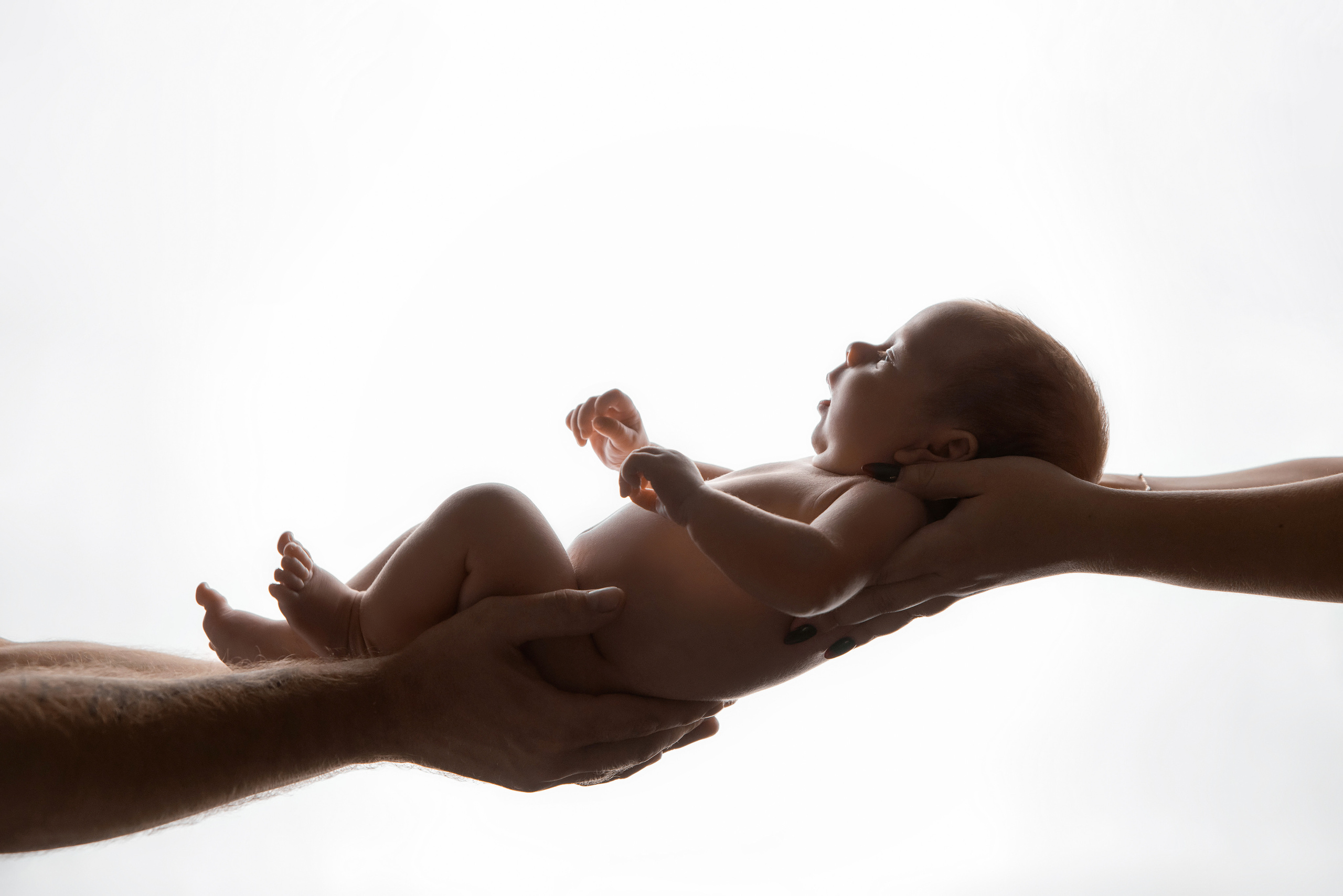 Новорожденные. Любовь Федоряева — фотограф в Симферополе и в Крыму