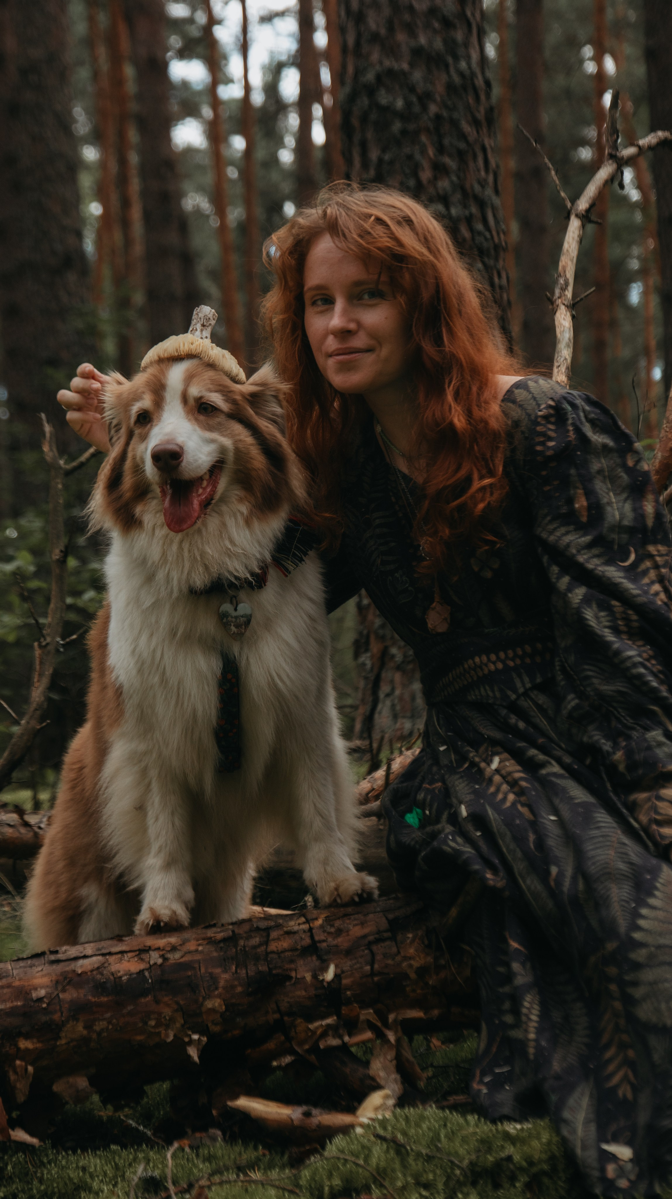 Волшебный лес с Тасей, Морошкой и Брусникой. Стас Соболь, фотограф анималист, репортажник, Москва