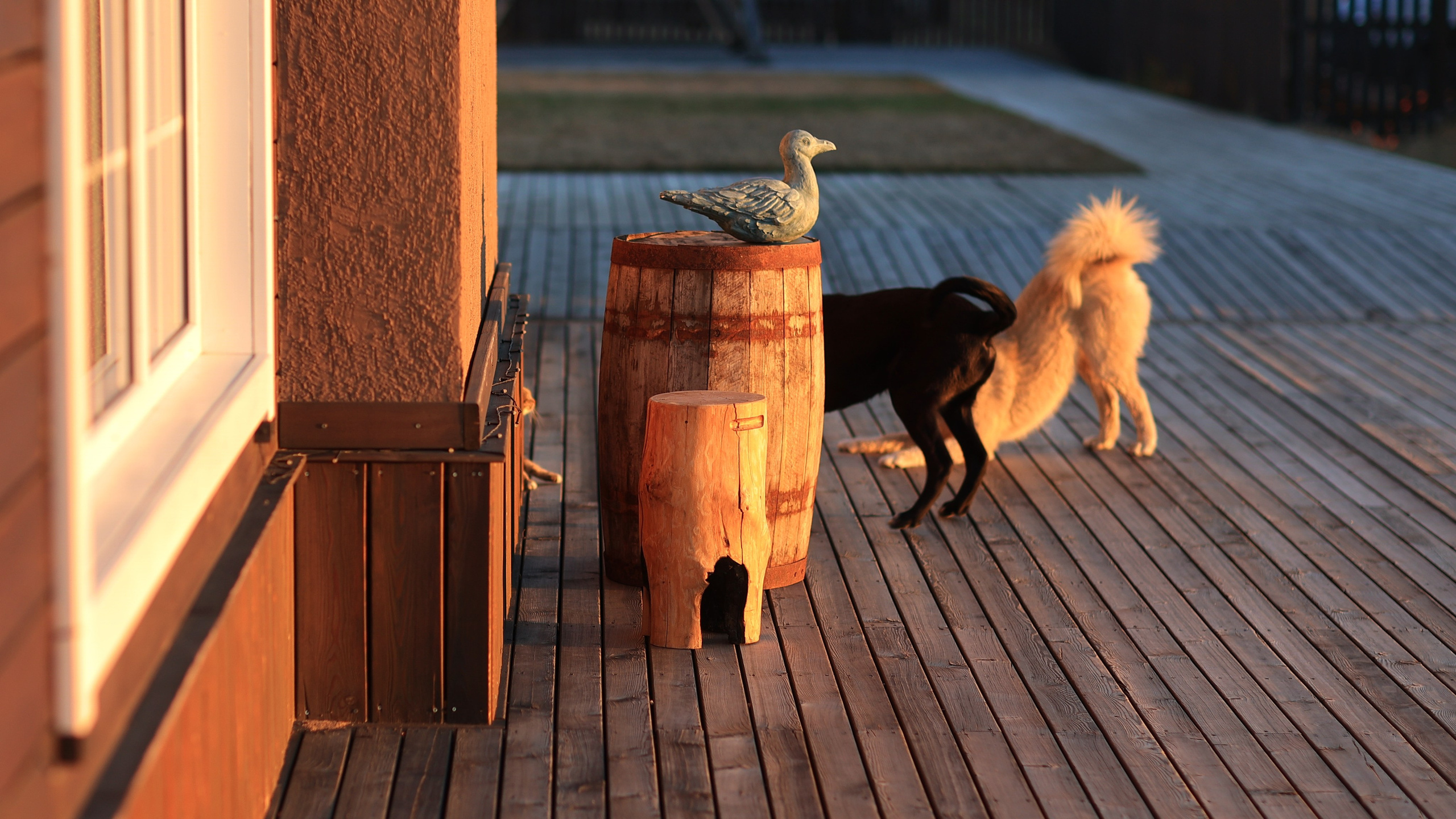 2023. Тащилин Сергей. Фотографии. Жизнь. Хобби