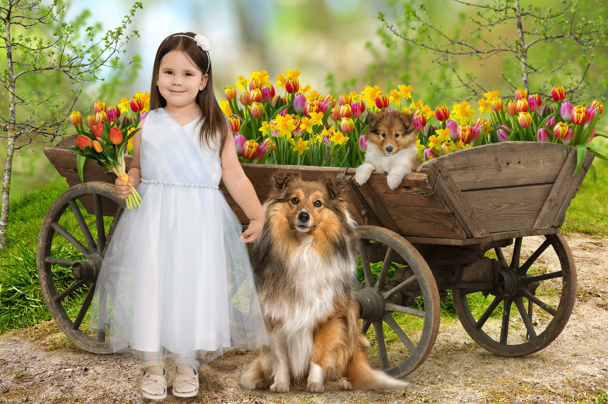 Детский сад