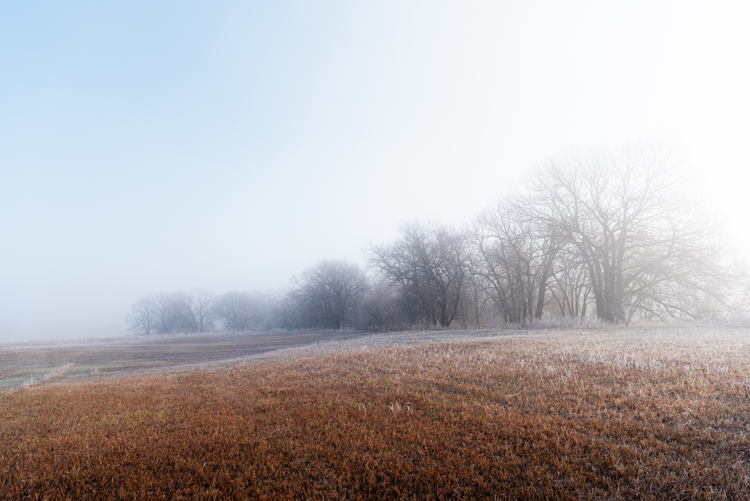 Фотографии утреннего тумана под Волжским. Фотограф в Волгограде и Волжском Александр Горбань