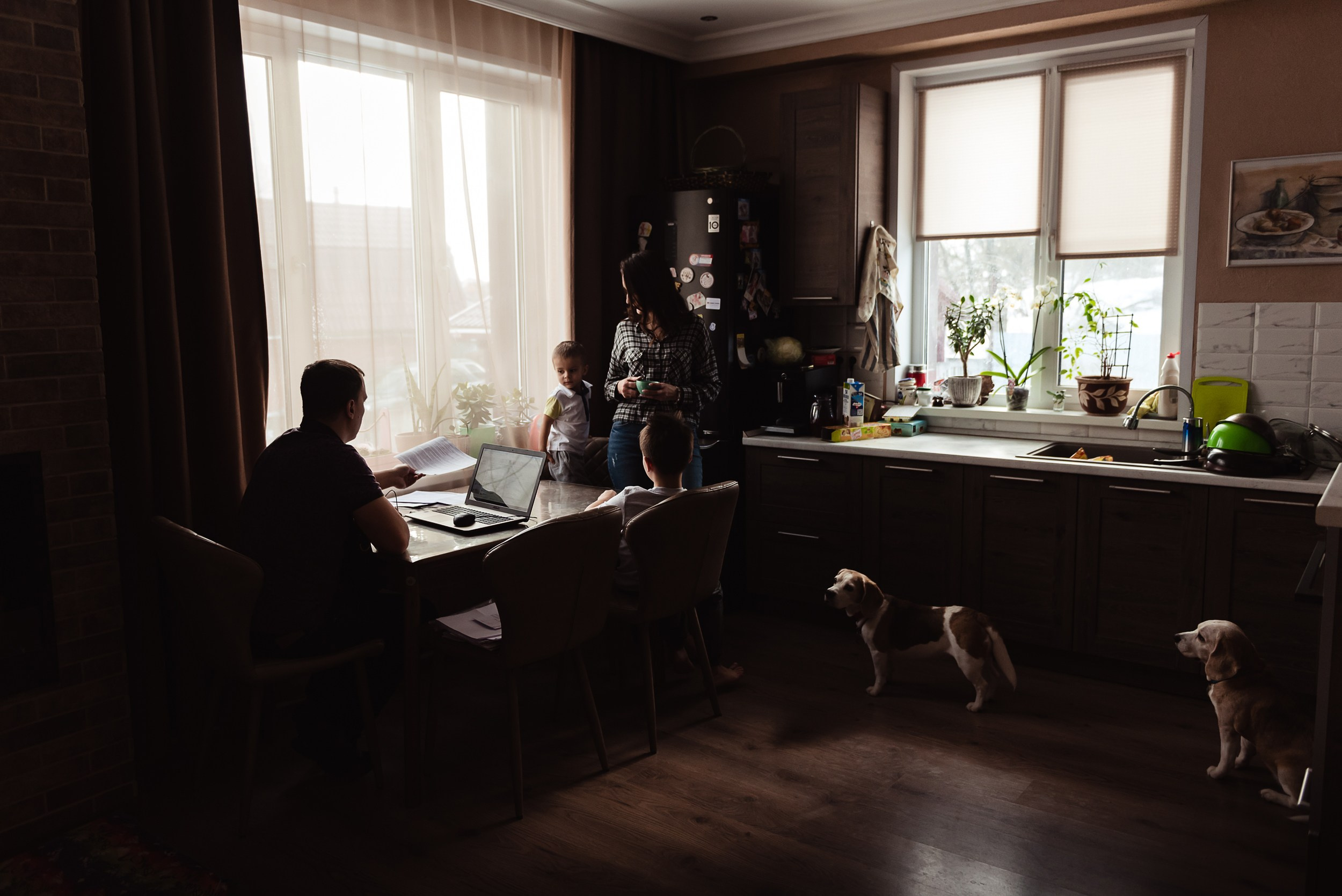 Оля, бигли и семья. Семейный Фотограф в Москве Ирина Хохлова