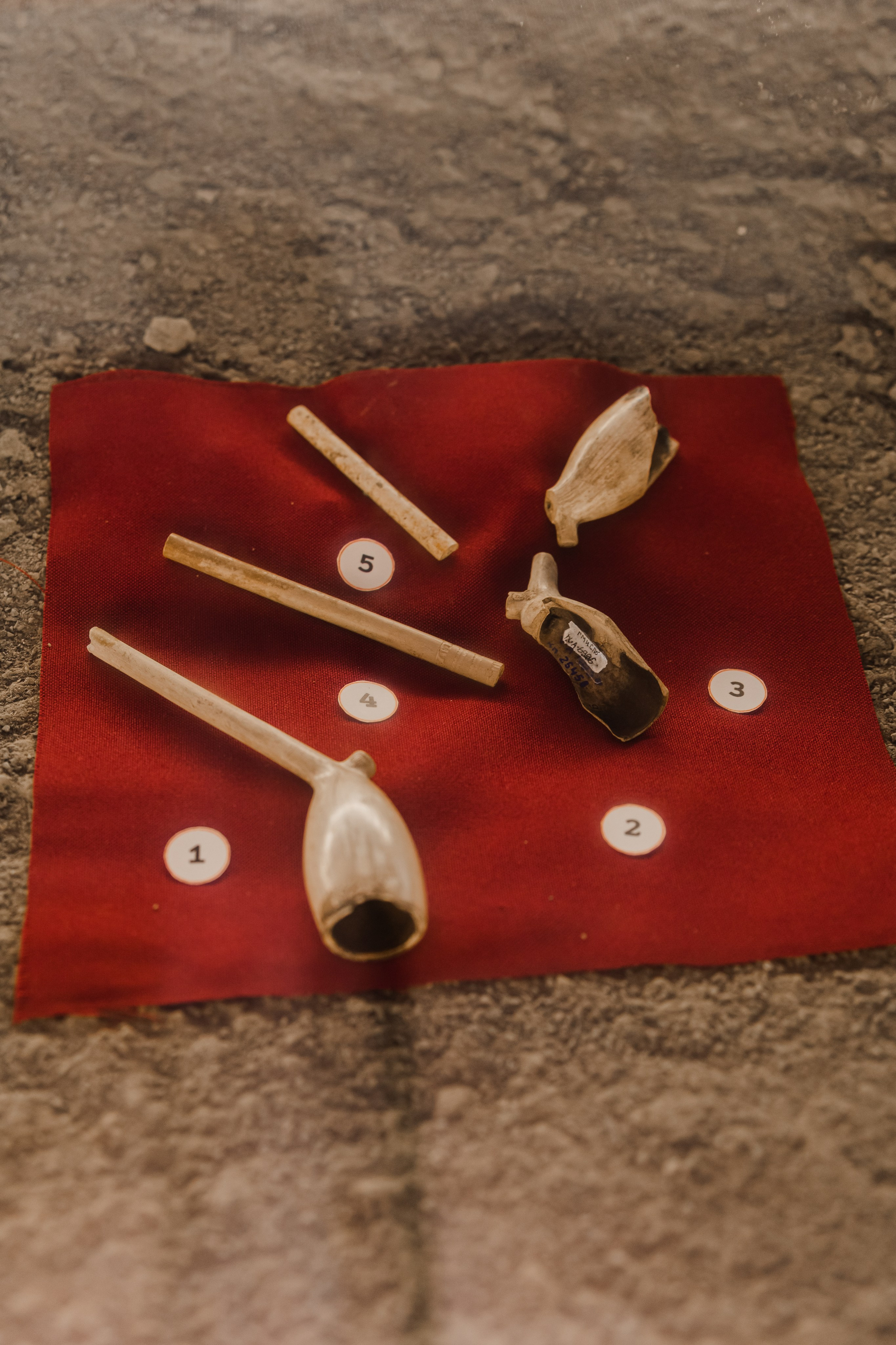 Репортажная и контент съемка. Портретный и Семейный фотограф в Санкт-Петербурге Rocket Alice