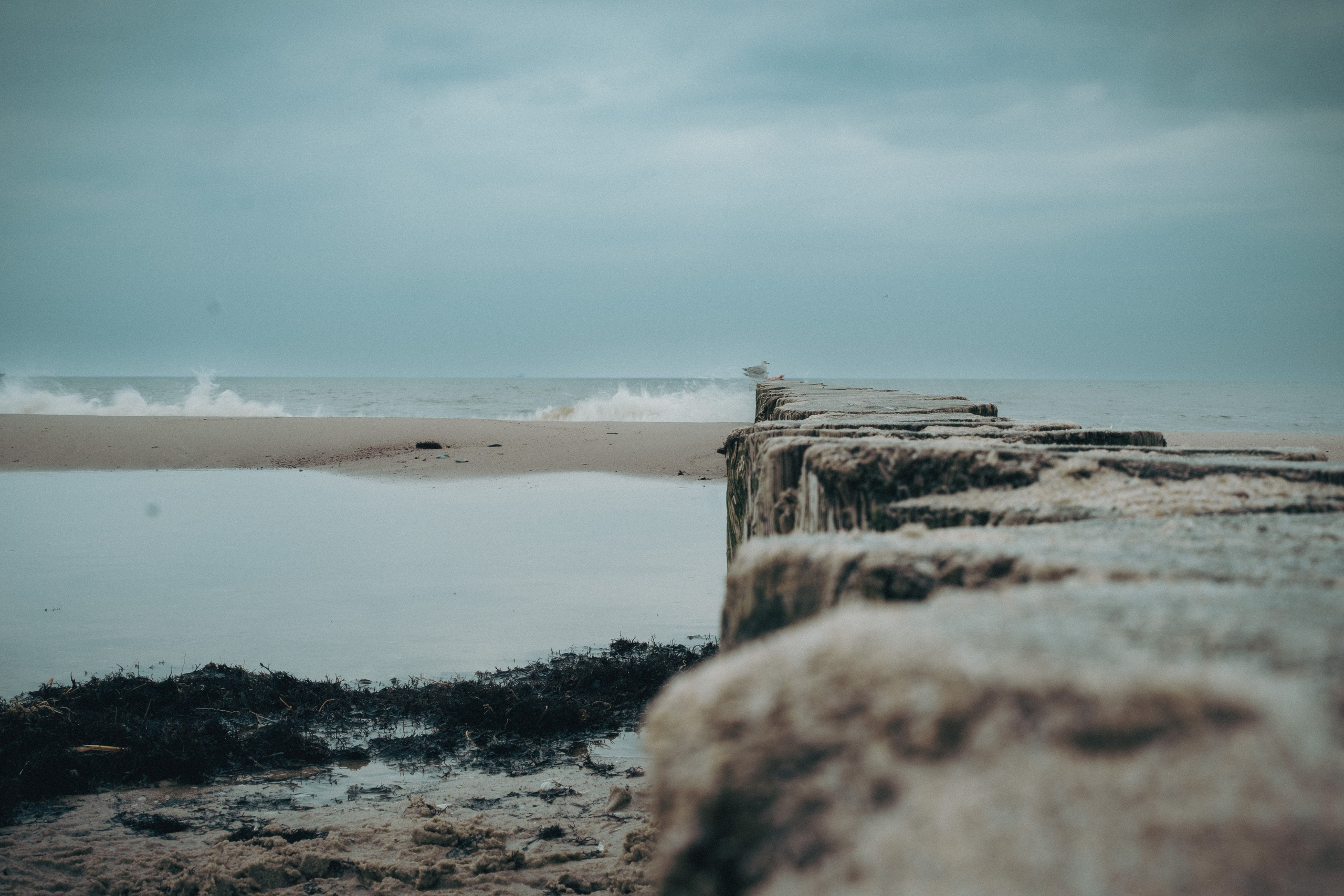 Other. Dmitry Ippolitov