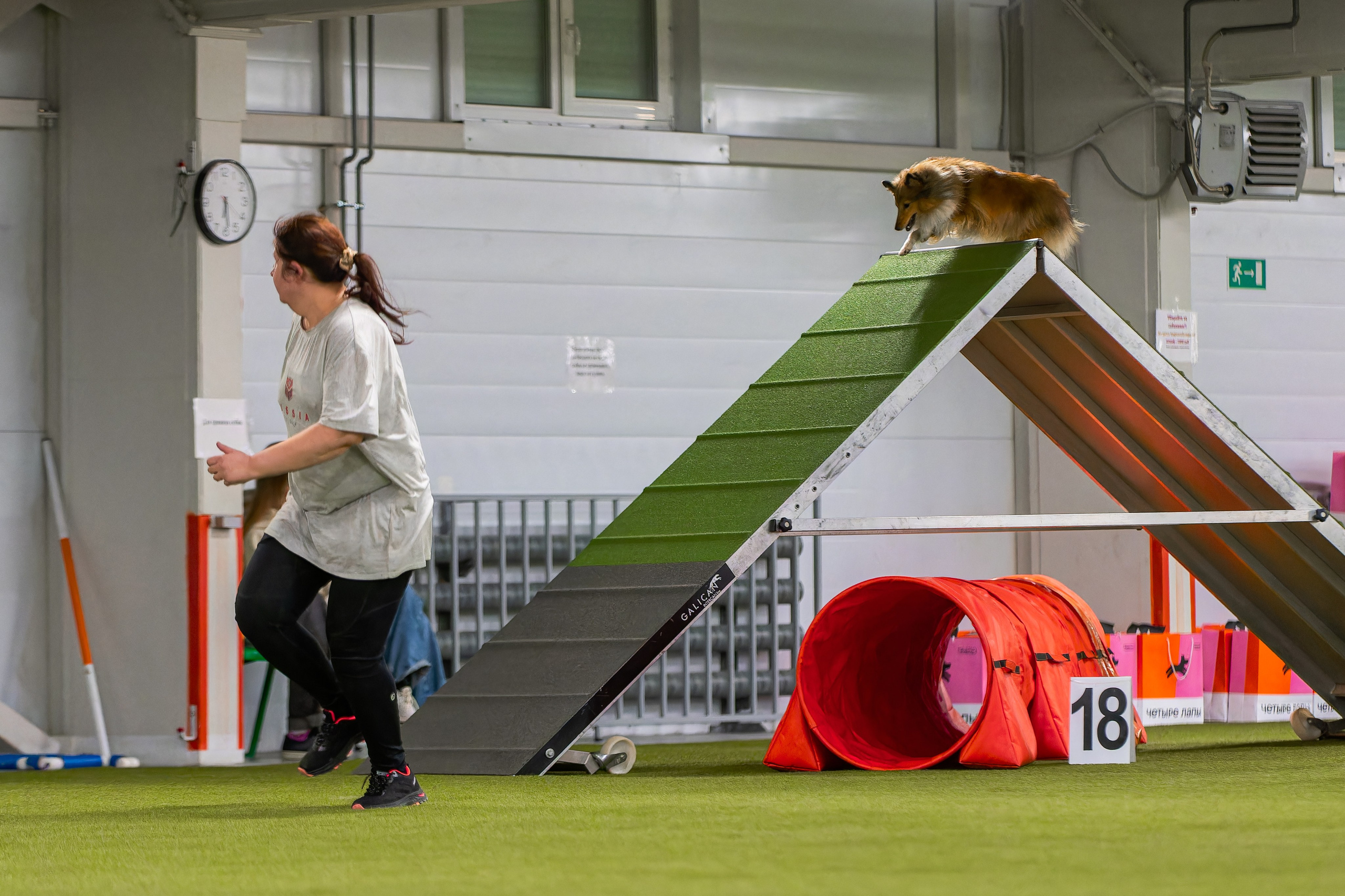 Baltic Cup 2024. Irenephoto.ru