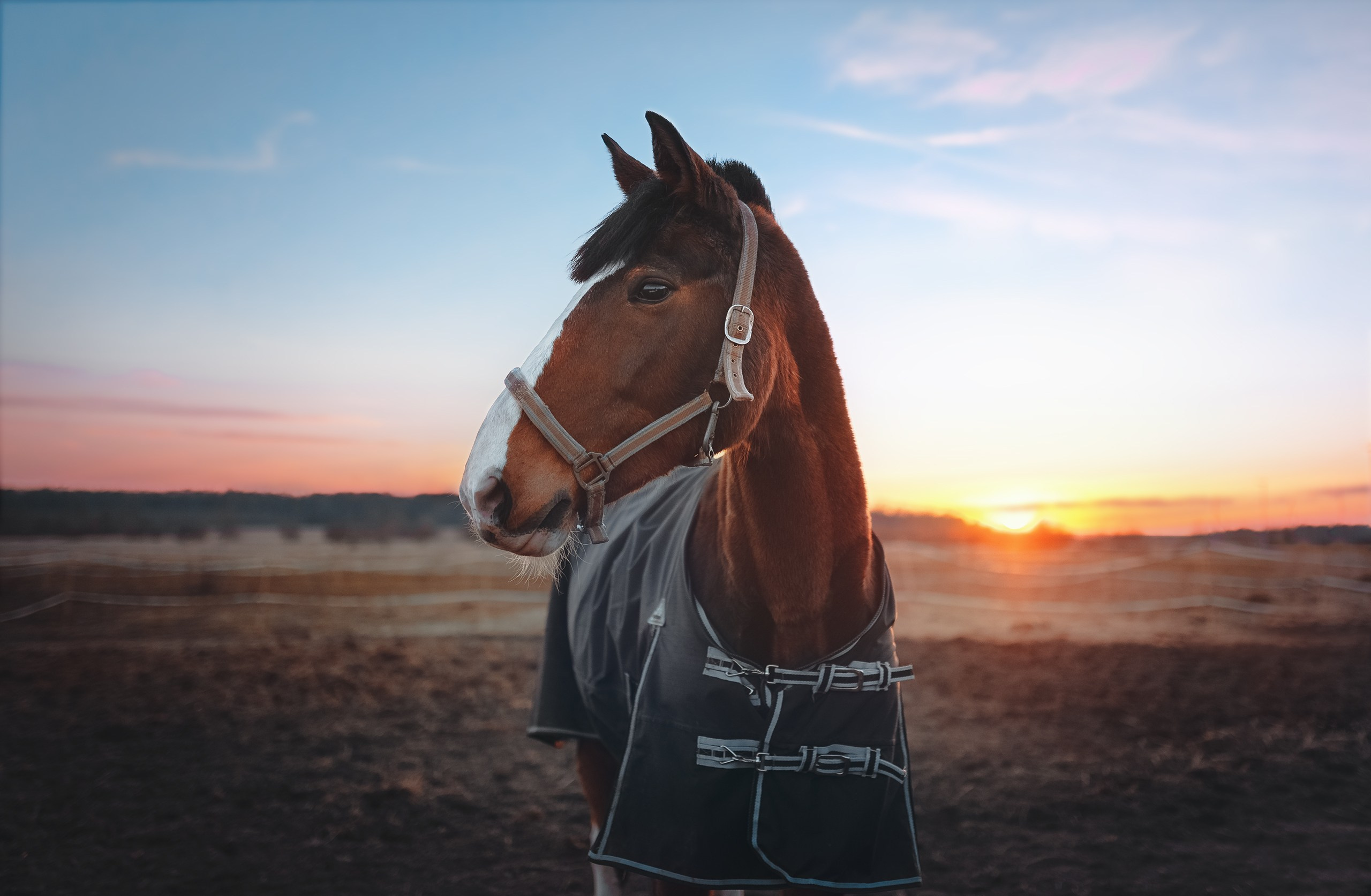 Невидимый спектр. Komonev