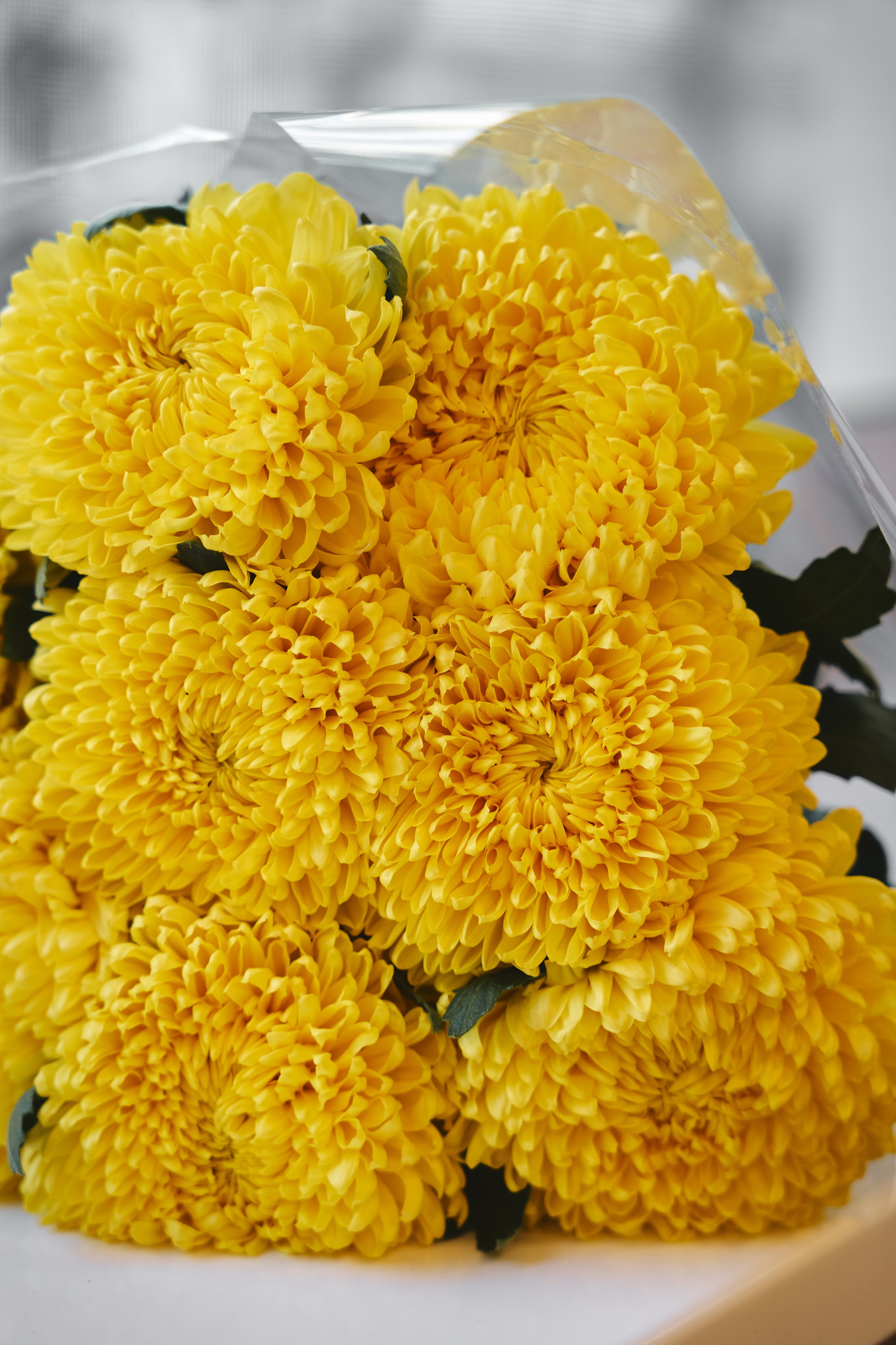 Йога-встреча. Фотограф в Москве Казакова Анна