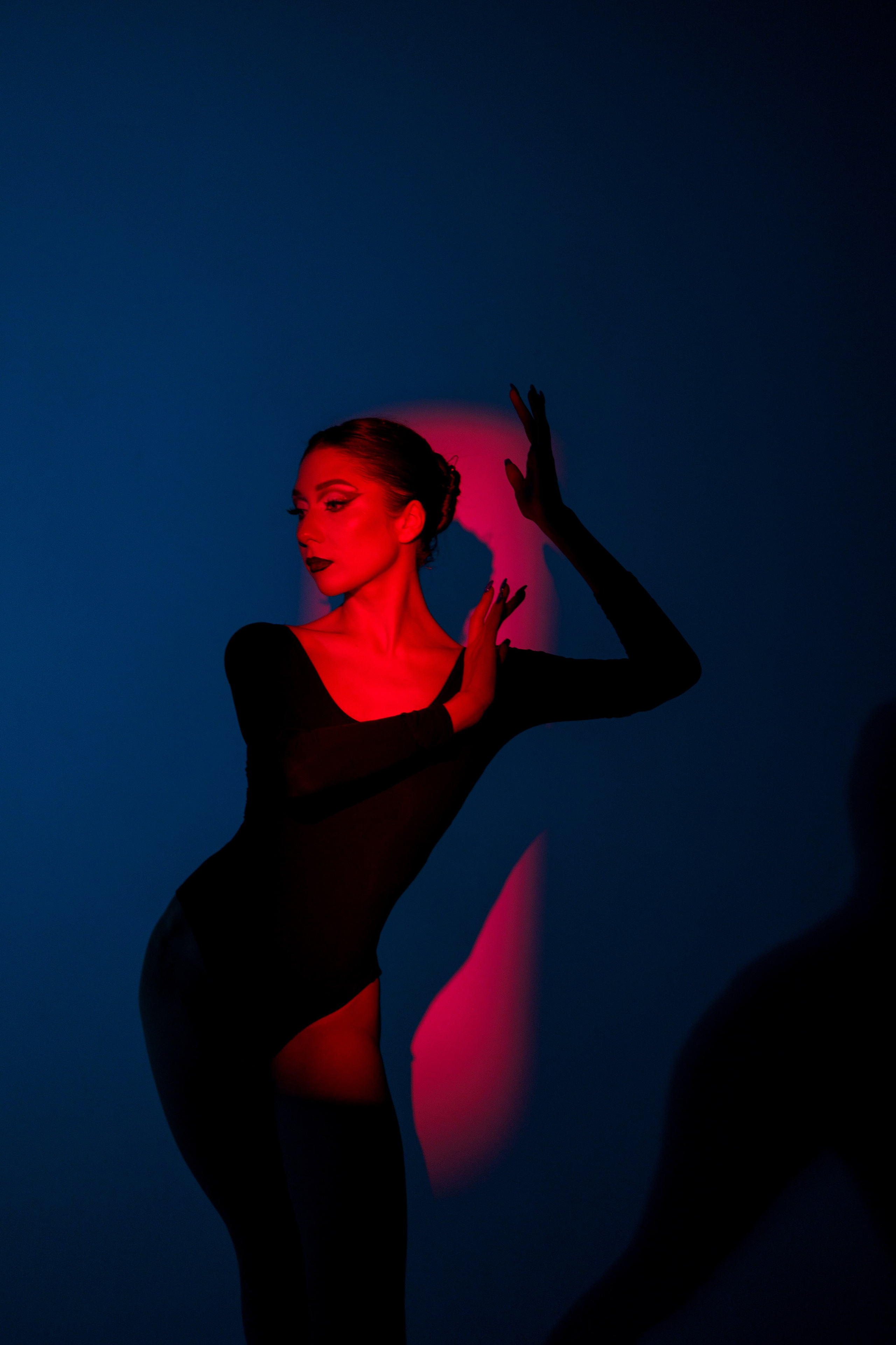 Черный лебедь. Марковкина КрисТина