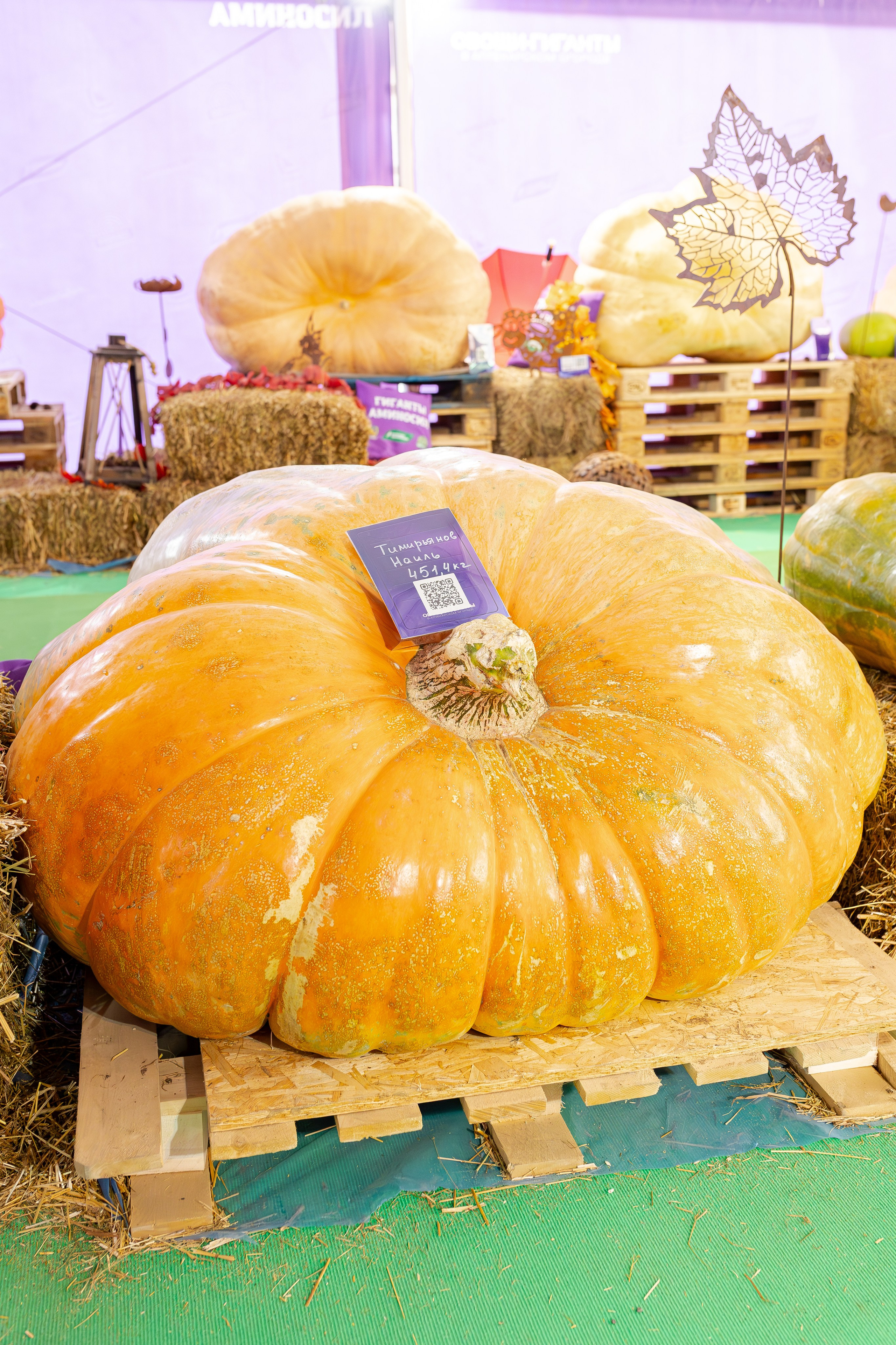 Овощи-гиганты. Александра Куликова фотограф, Москва