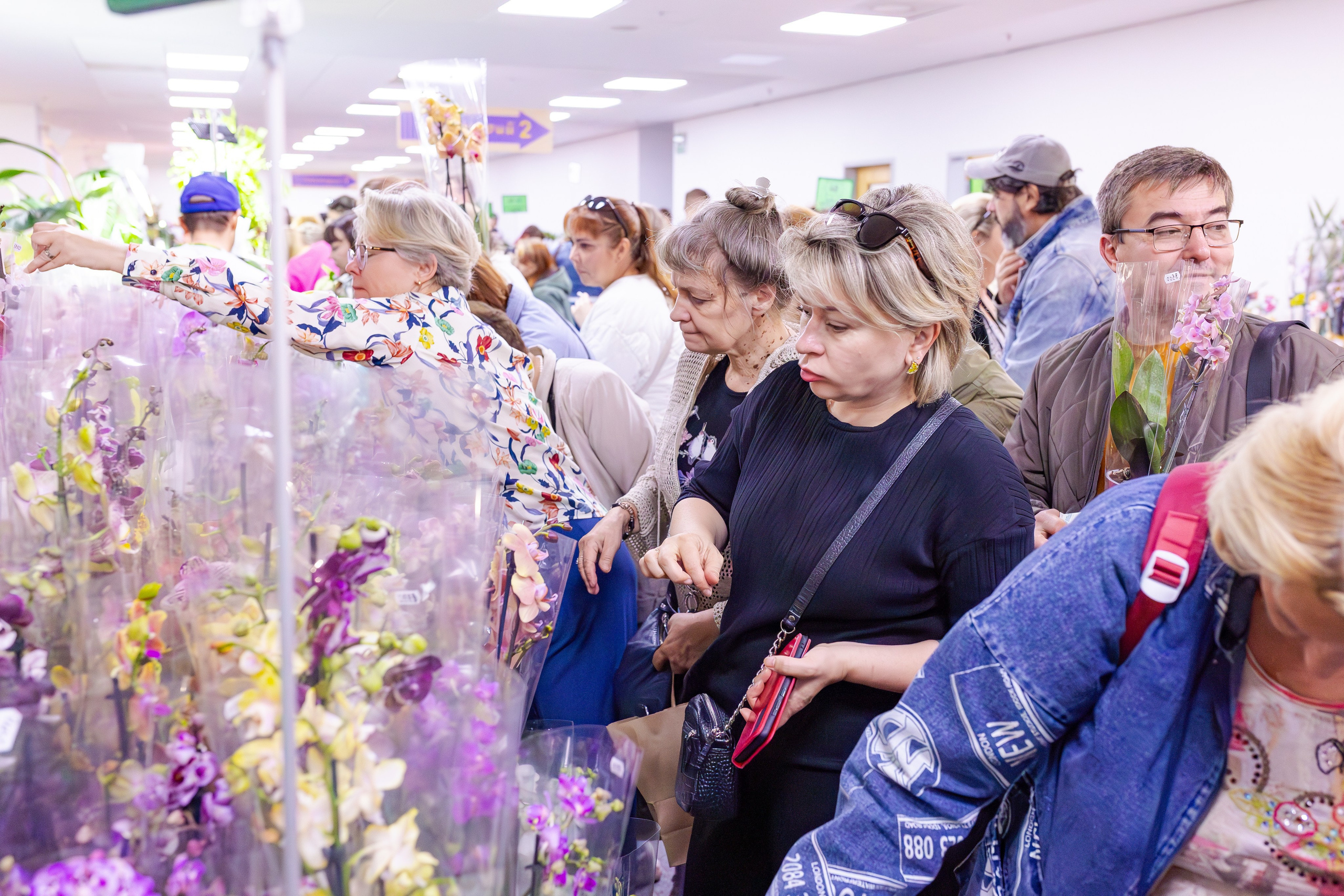 Орхидиум сентябрь 2025. Александра Куликова фотограф, Москва