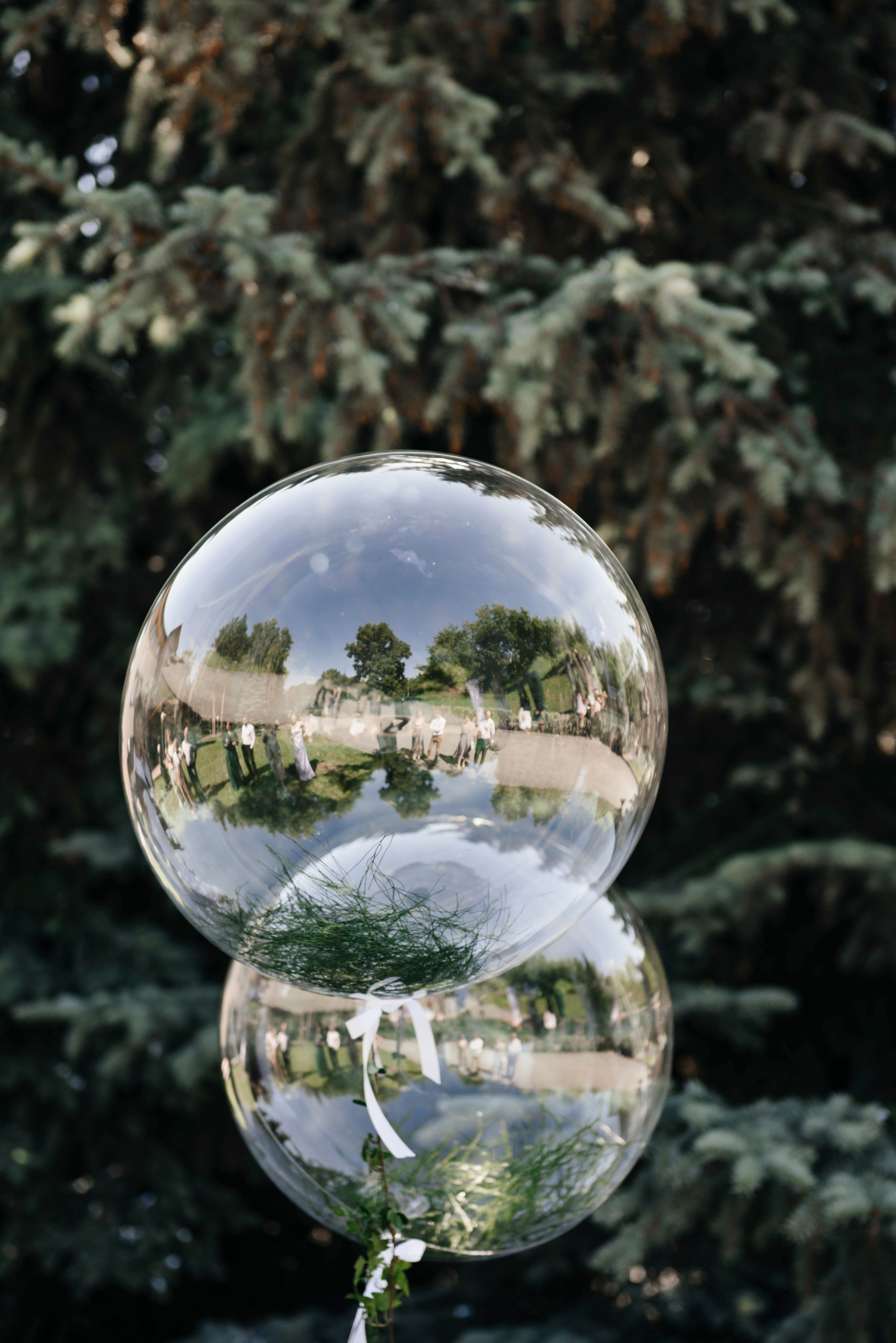 Дима и Настя. Свадебный и семейный фотограф в Новосибирске Наталья Зорина
