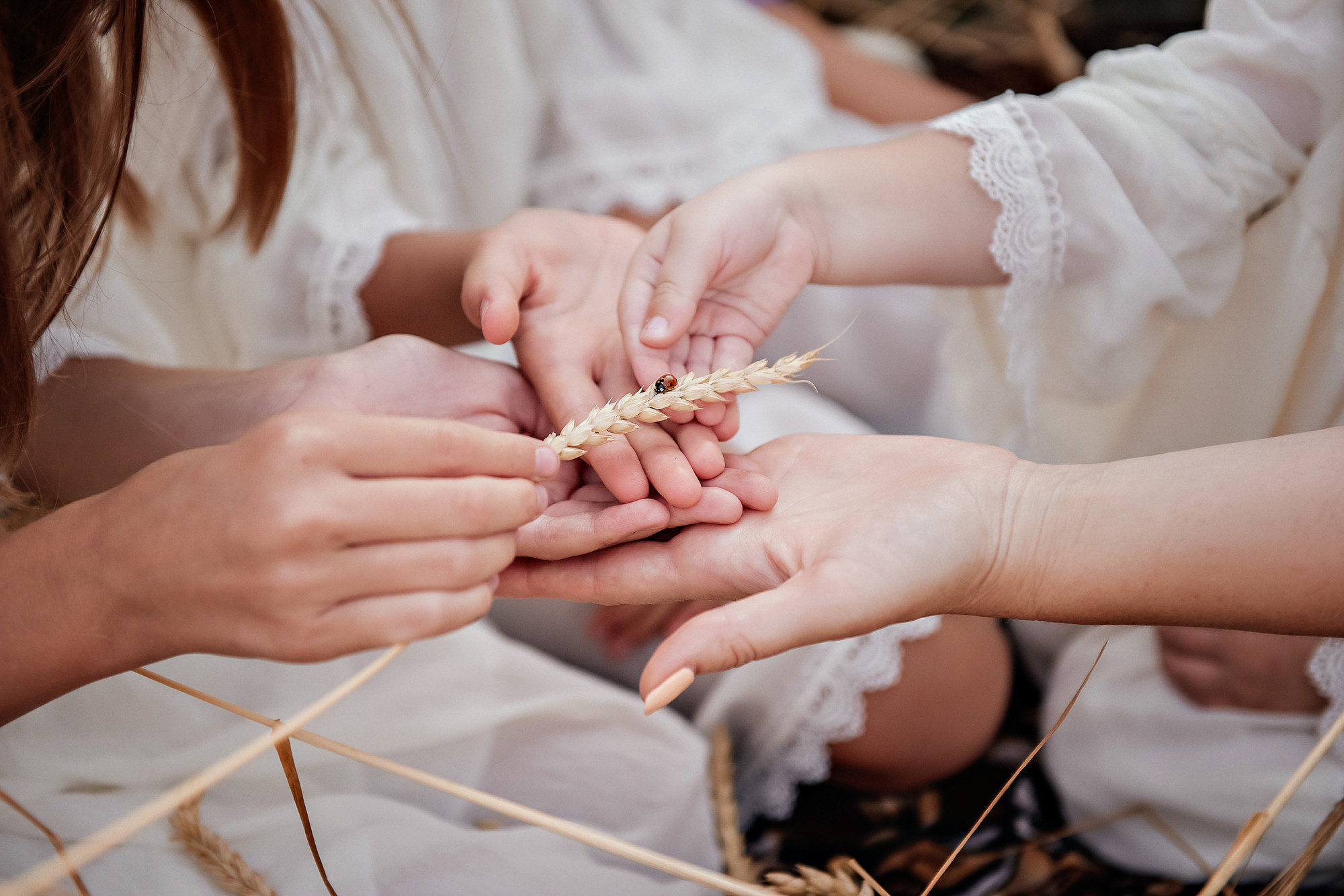 Семейные съемки. Свадебный и семейный фотограф в Новосибирске Наталья Зорина