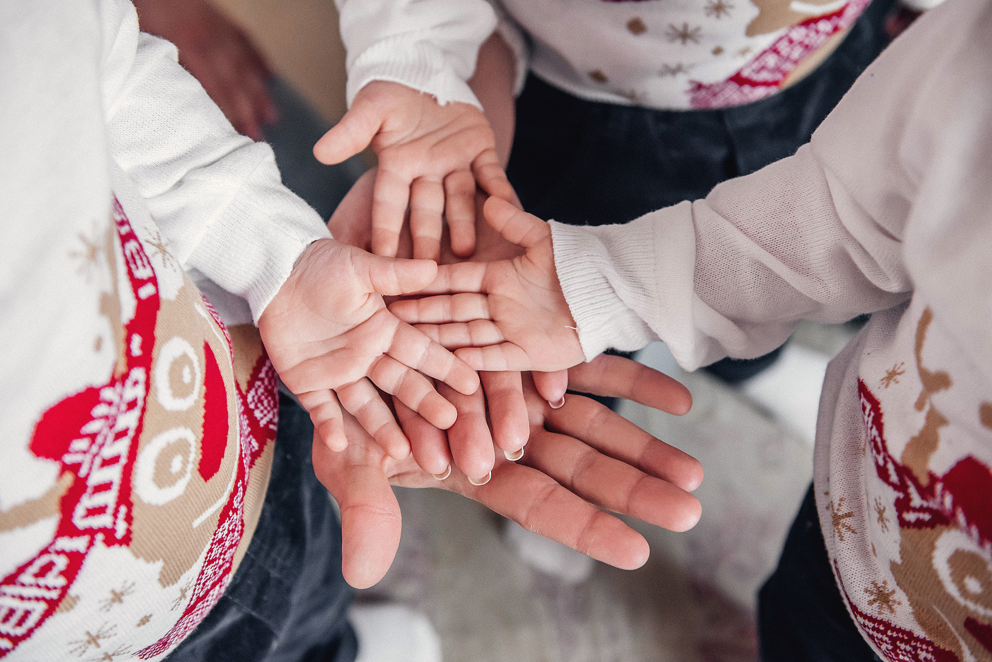 Семейные съемки. Свадебный и семейный фотограф в Новосибирске Наталья Зорина