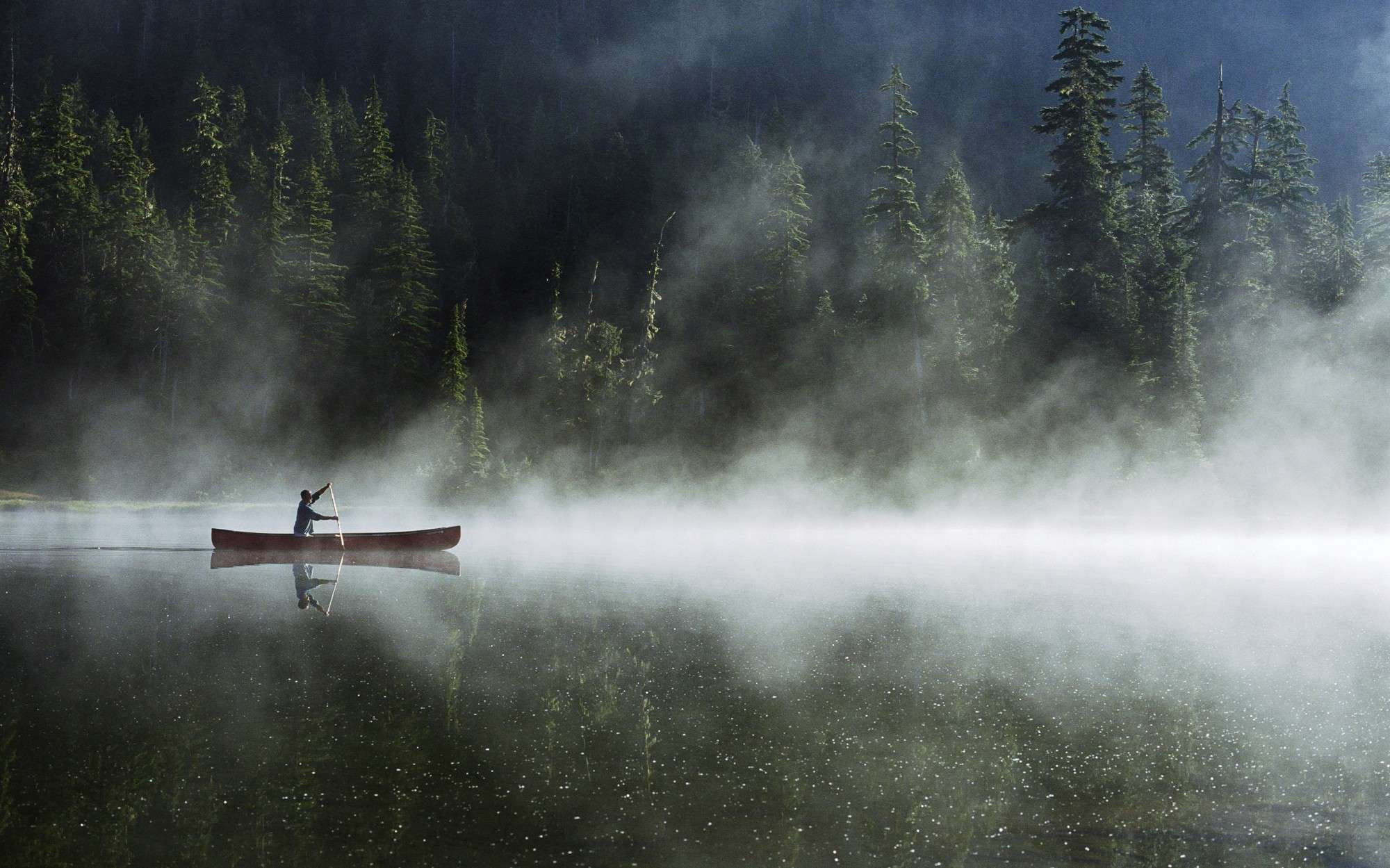 Отзывы. Свадебный и семейный фотограф в Новосибирске Наталья Зорина