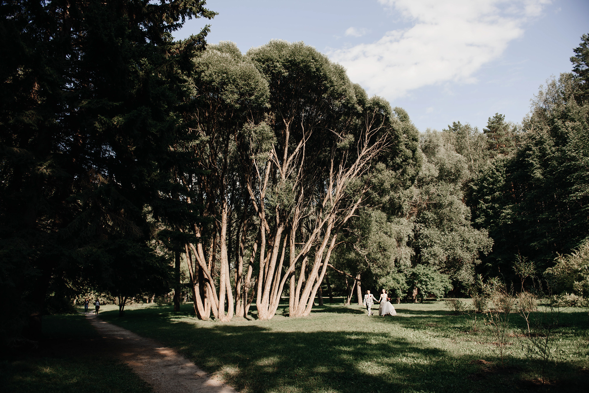 Юра и Света. Свадебный и семейный фотограф в Новосибирске Наталья Зорина